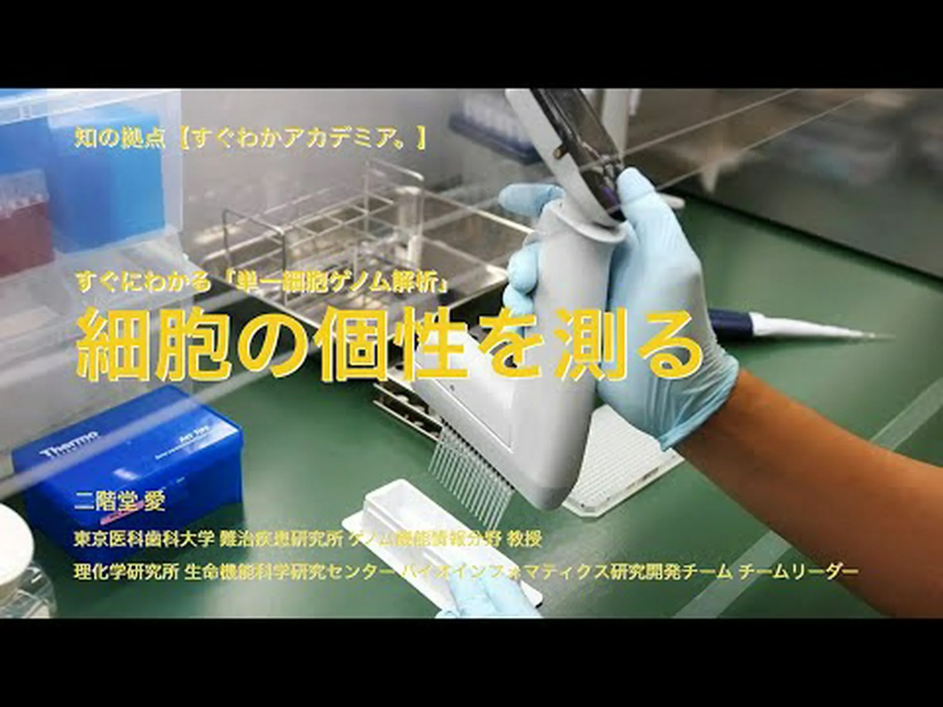 新しいプロテオームチップで酵母ゲノムのタンパク質を解析 新しいプロテオームチップで酵母ゲノムのタンパク質を解析