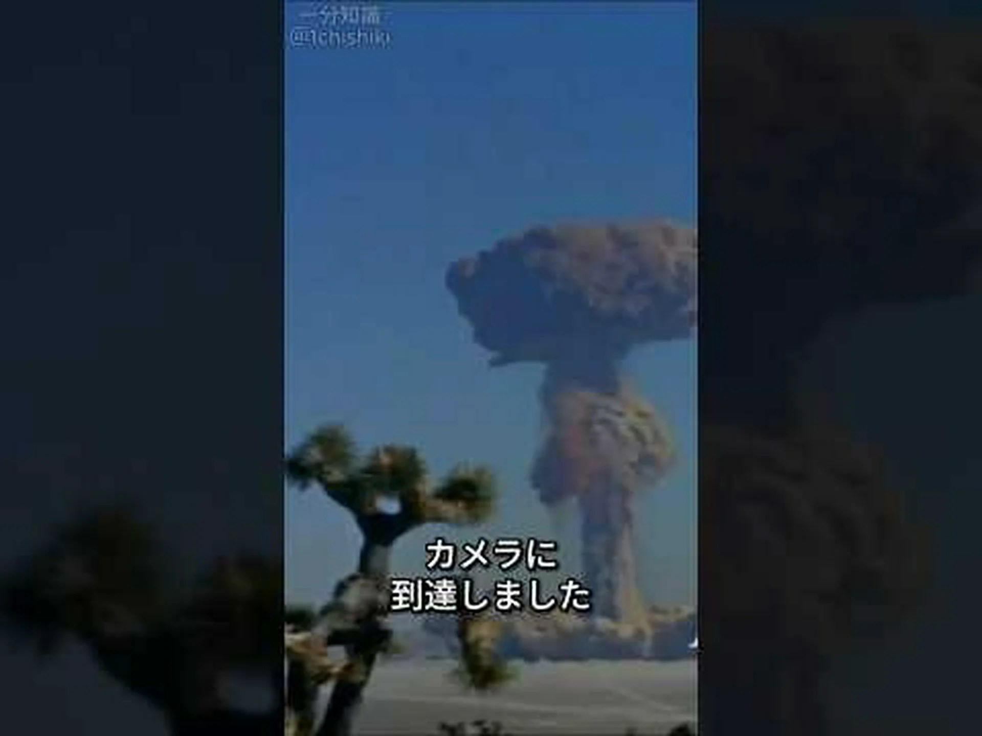 ロシアの地上核兵器実験は深刻な遺伝子損傷を引き起こした ロシアの地上核兵器実験は深刻な遺伝子損傷を引き起こした