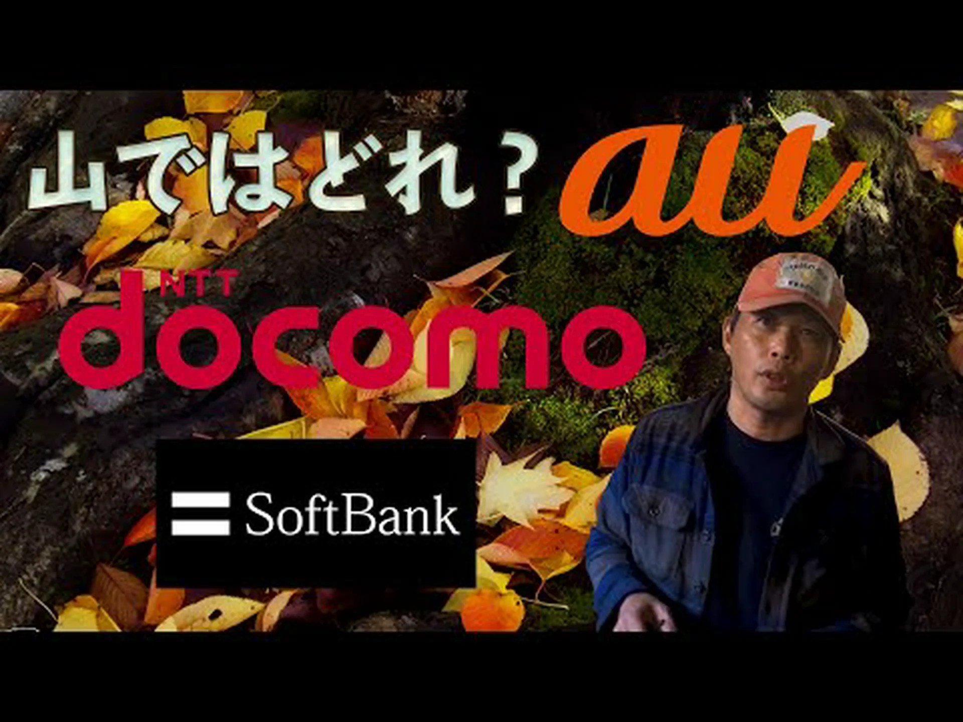 長寿の険しいキャリア 長寿の険しいキャリア