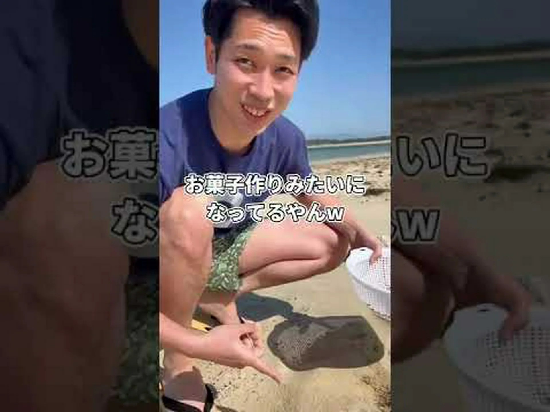 生息地としてのマイクロプラスチック – 有毒種の生息地としても 生息地としてのマイクロプラスチック – 有毒種の生息地としても