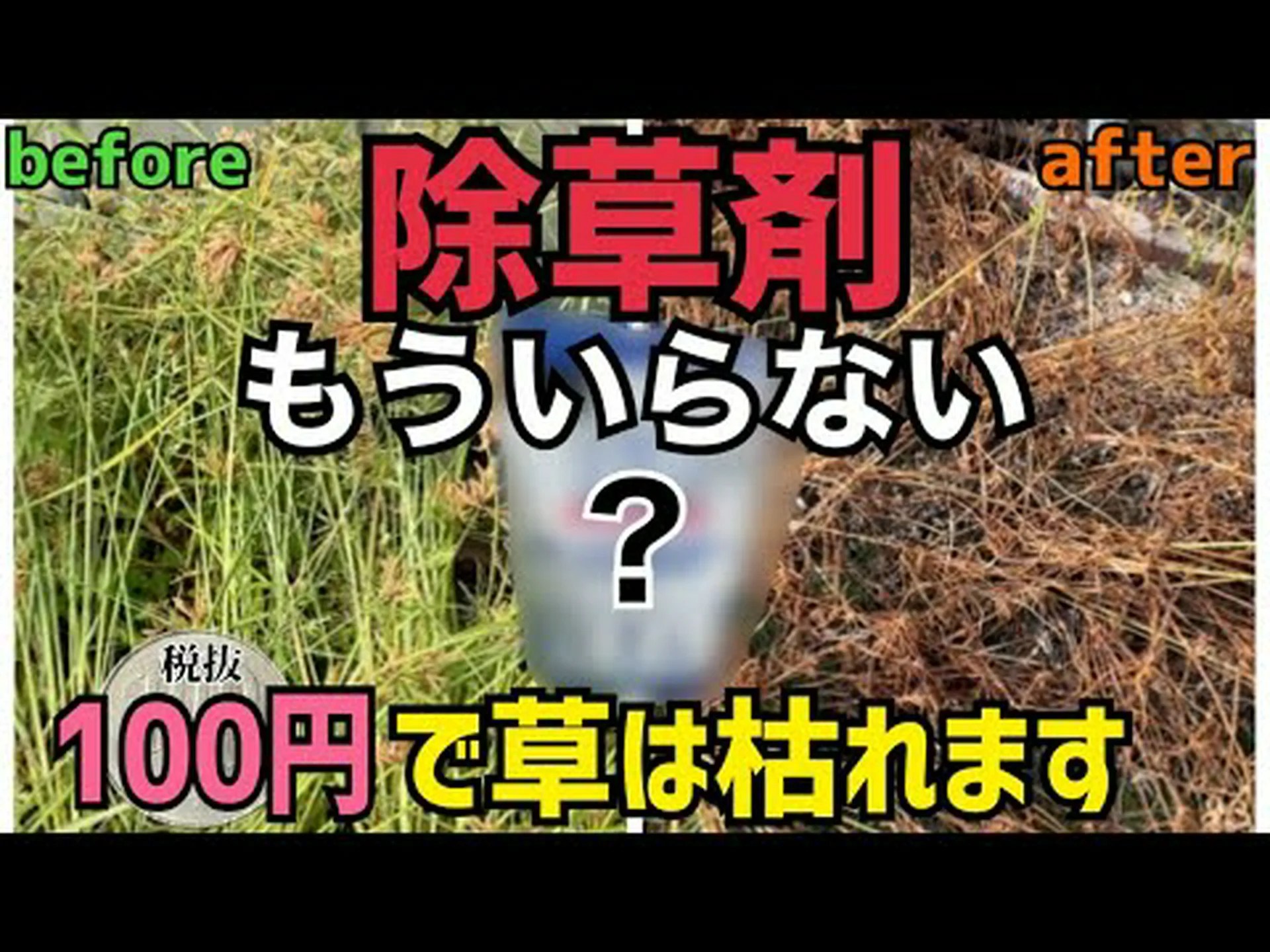 生物除草剤としてのミントの「秘密兵器」? 生物除草剤としてのミントの「秘密兵器」?