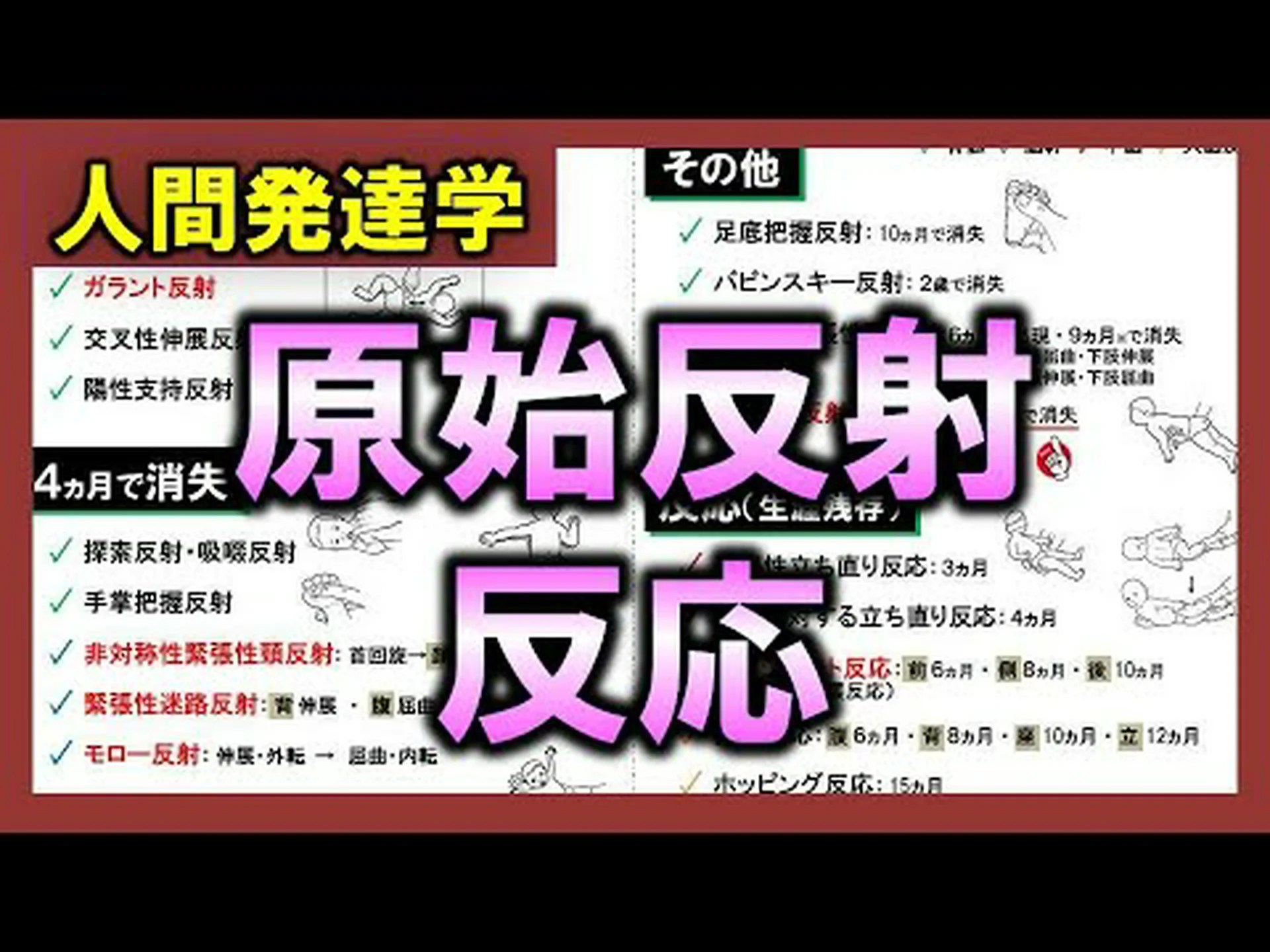 非対称性は頭から始まる 非対称性は頭から始まる