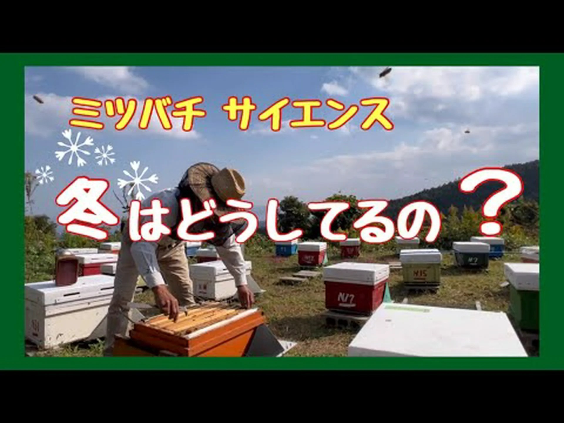 今週のビデオ: ミツバチは冬に何をしているのか 今週のビデオ: ミツバチは冬に何をしているのか
