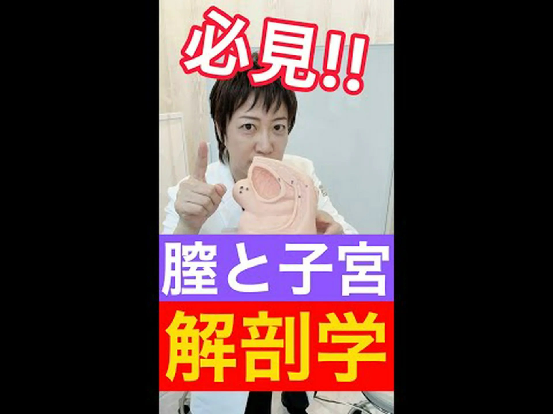 生殖器と後ろ足の関係 生殖器と後ろ足の関係