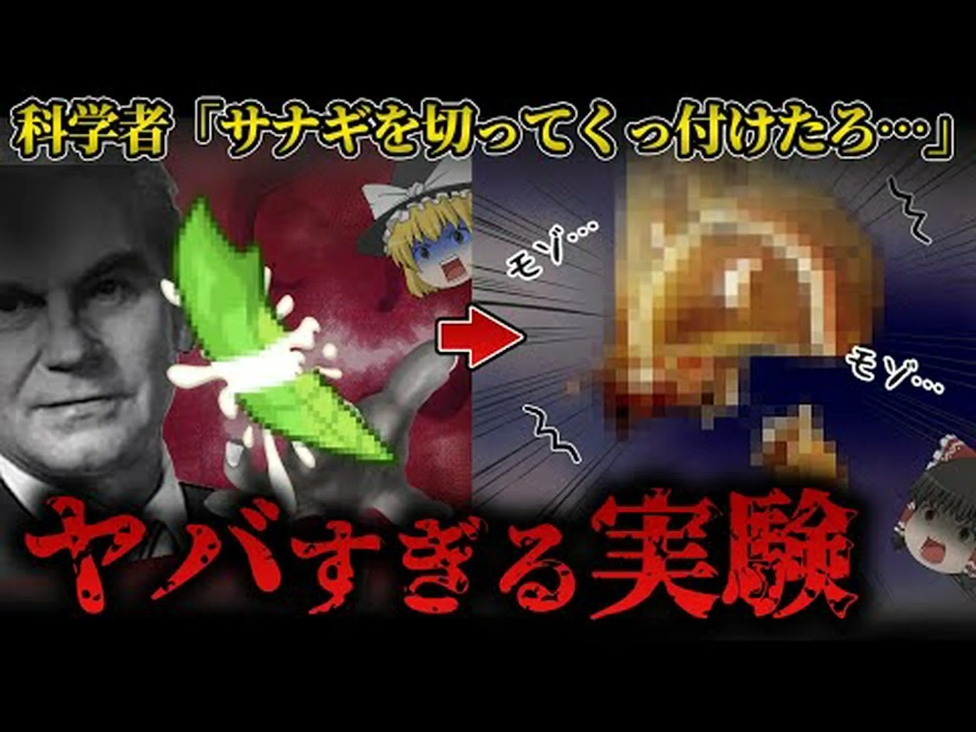 セックスは昆虫の死ホルモンを誘発する セックスは昆虫の死ホルモンを誘発する