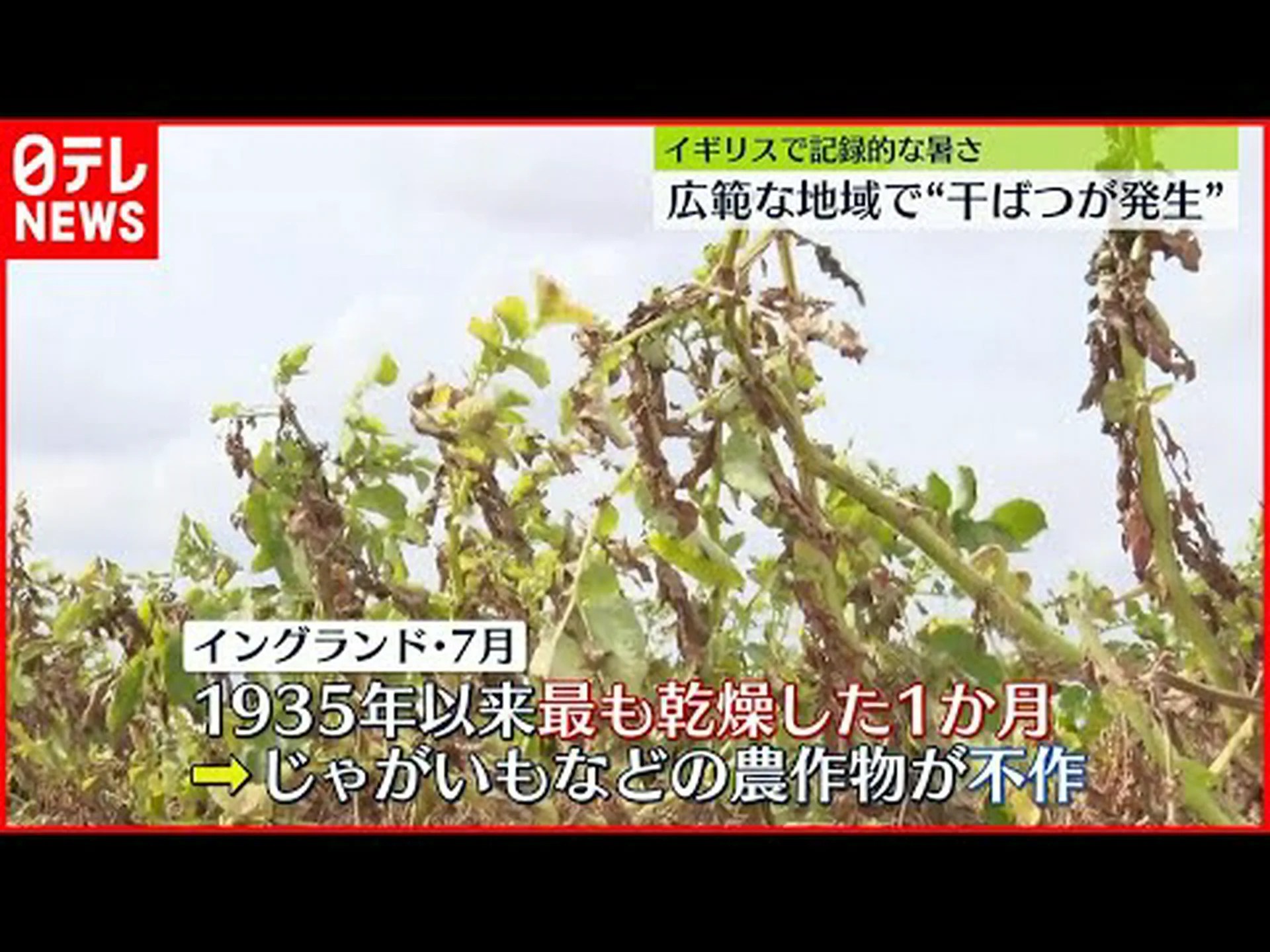 海からの干ばつ 海からの干ばつ