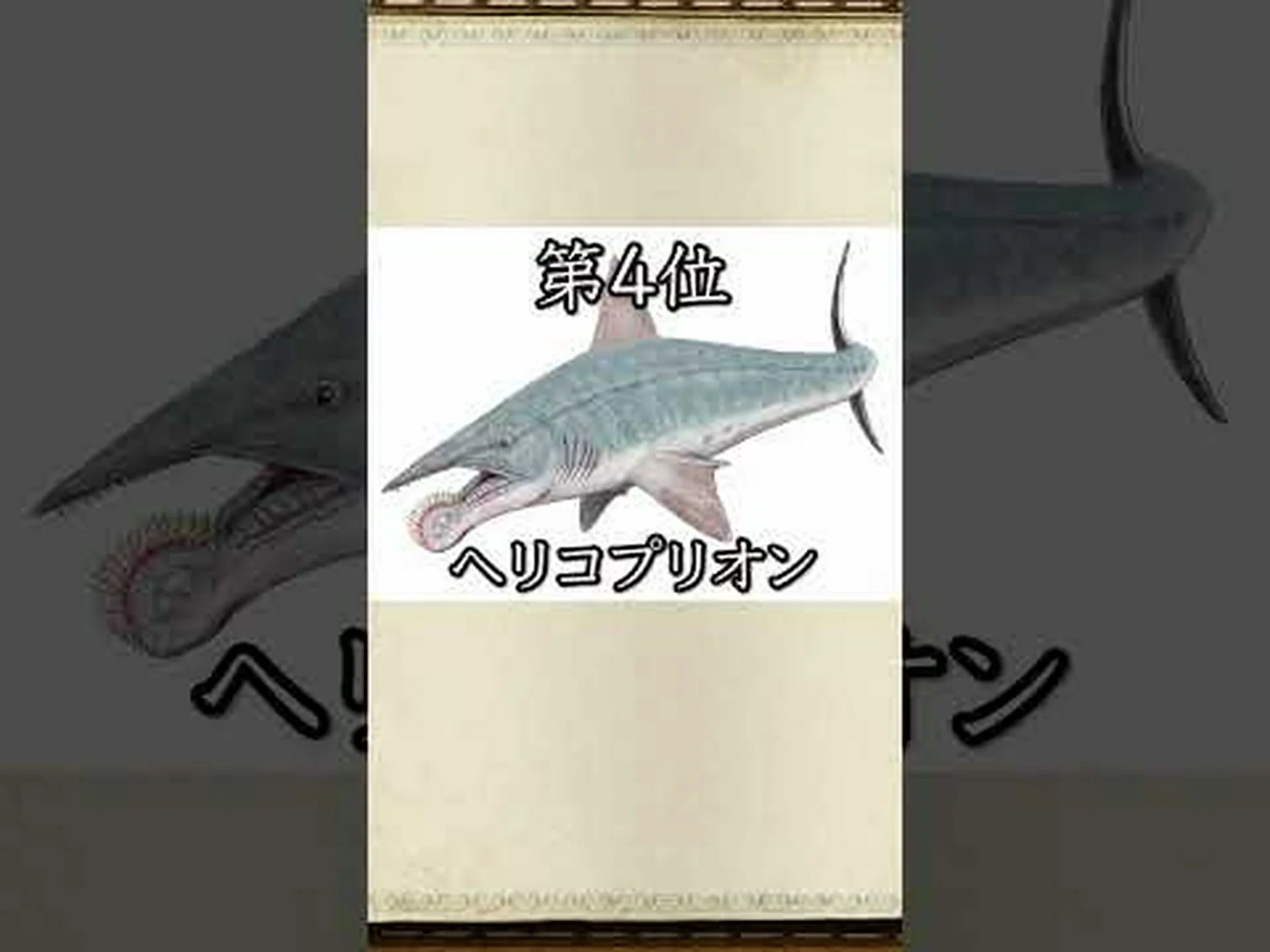 古代の化石に現われた現代の脳 古代の化石に現われた現代の脳