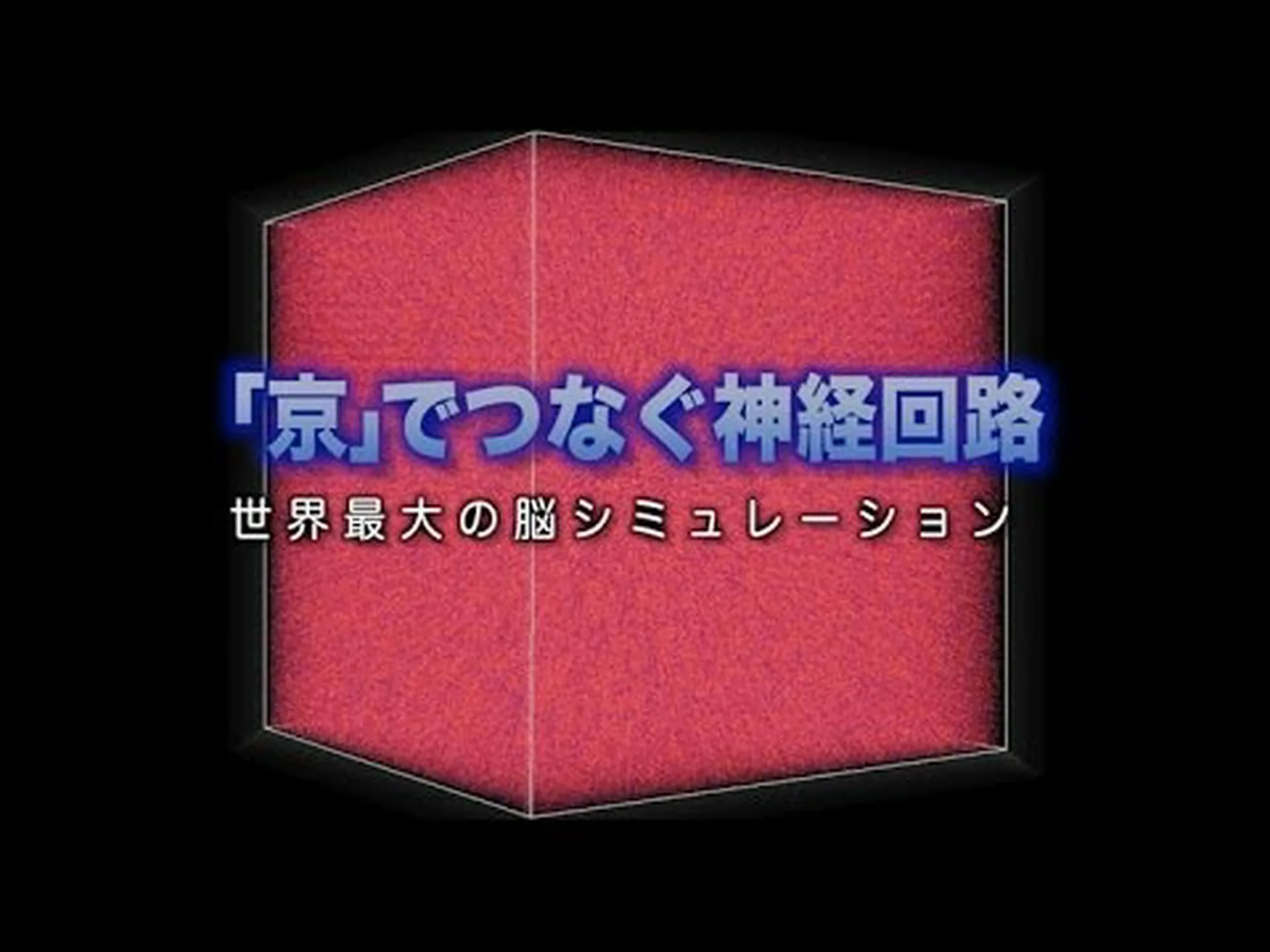 コンピューターシミュレーションが脳機能を模倣することに成功 コンピューターシミュレーションが脳機能を模倣することに成功