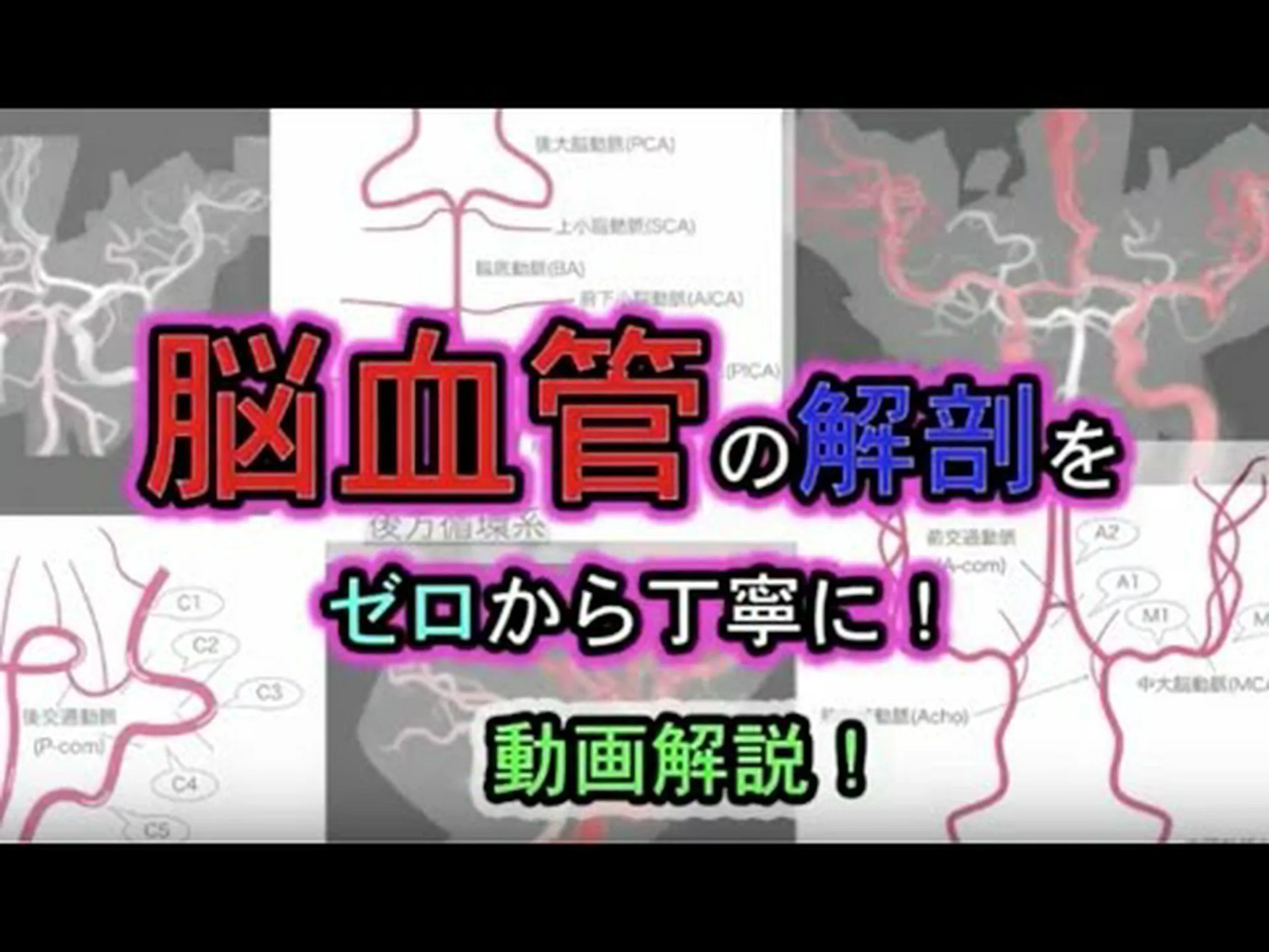 脳活動の鮮明な画像 脳活動の鮮明な画像