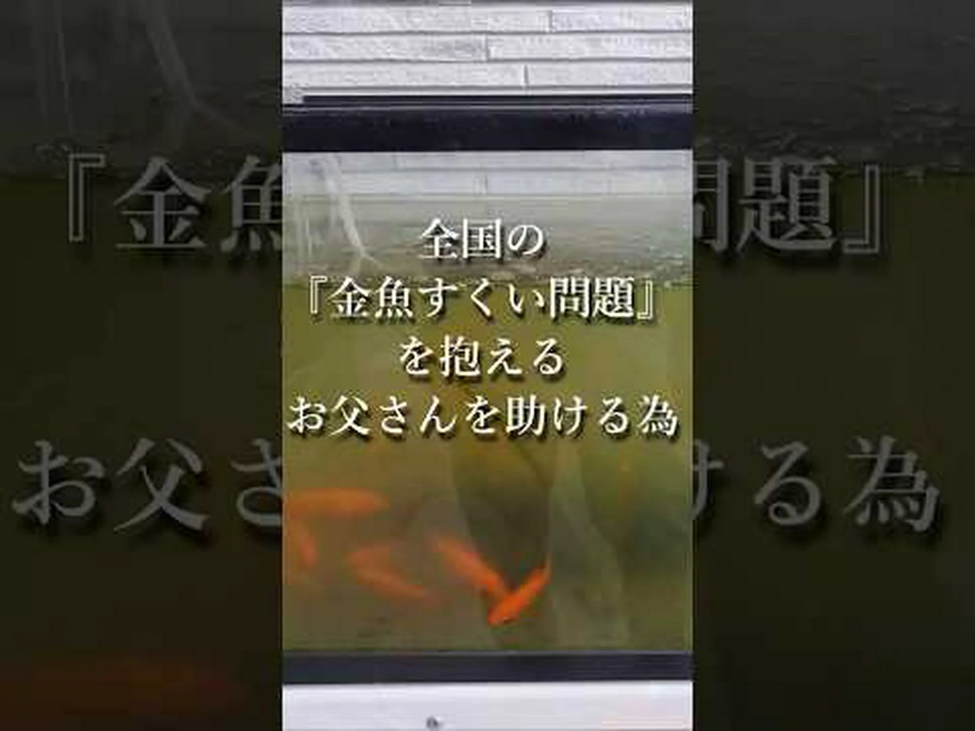 細菌における時間共有 細菌における時間共有