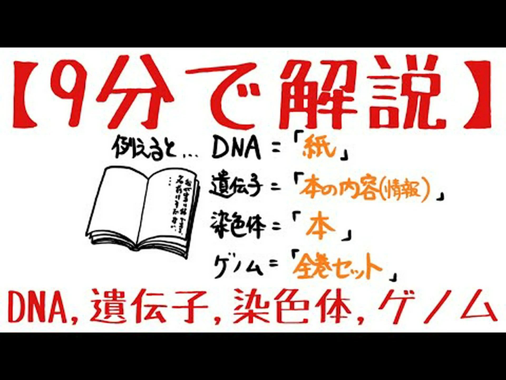 ヒトゲノムの概略図 ヒトゲノムの概略図