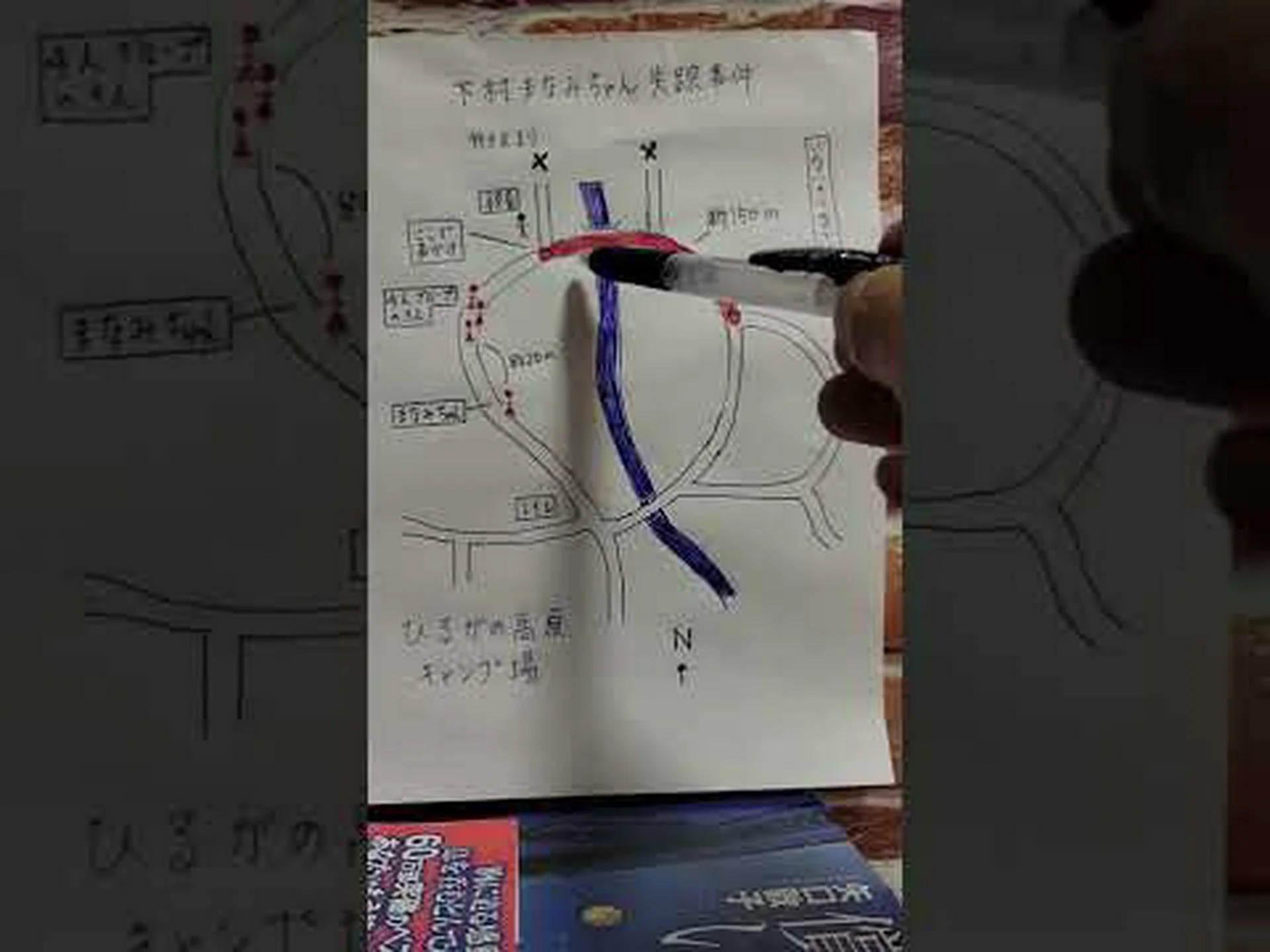 鳥の失踪 鳥の失踪
