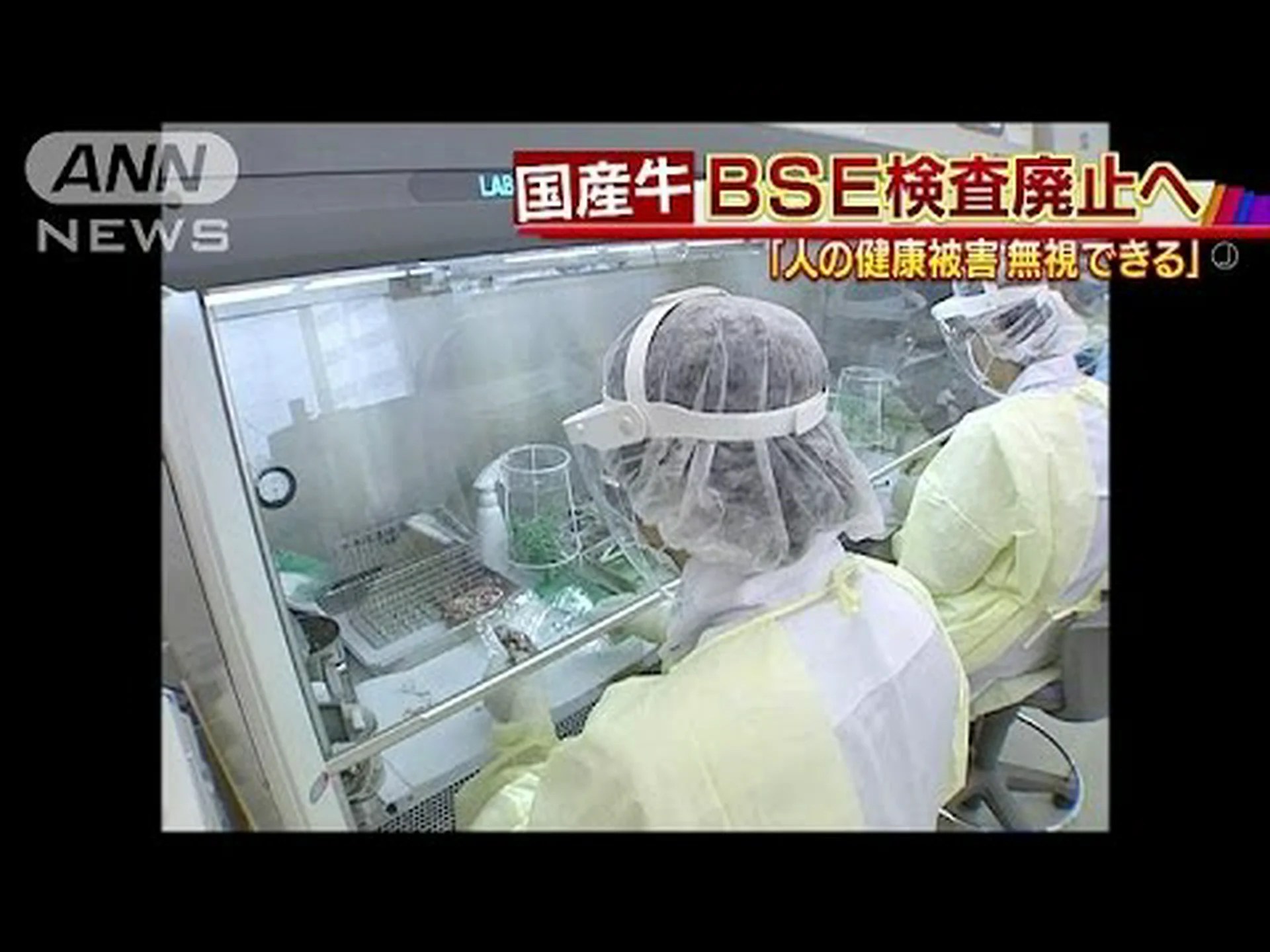 新しいBSE検査により生きた牛の大量検査が可能に 新しいBSE検査により生きた牛の大量検査が可能に