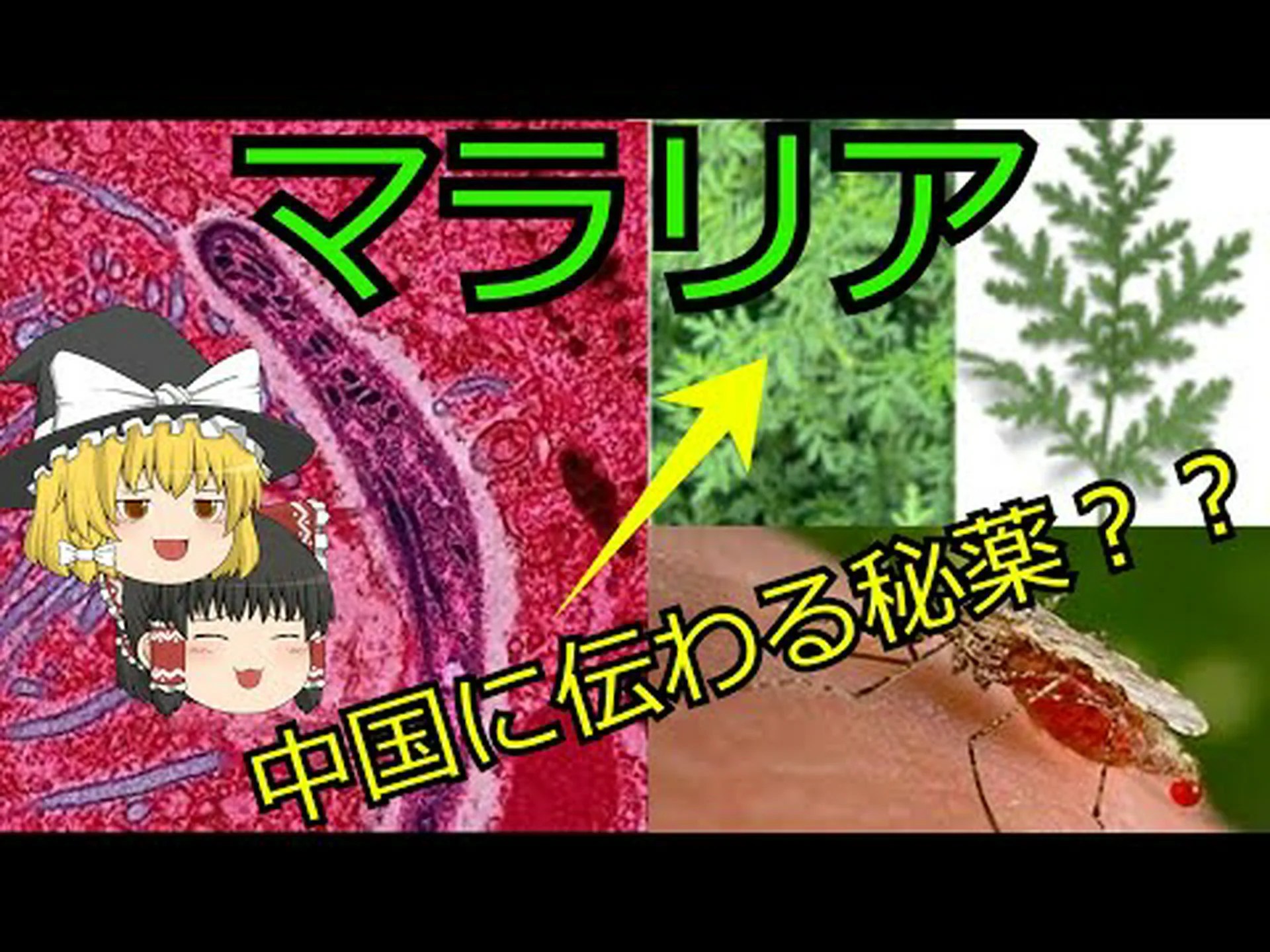 マラリアによる死者数はこれまで考えられていたよりも多い マラリアによる死者数はこれまで考えられていたよりも多い