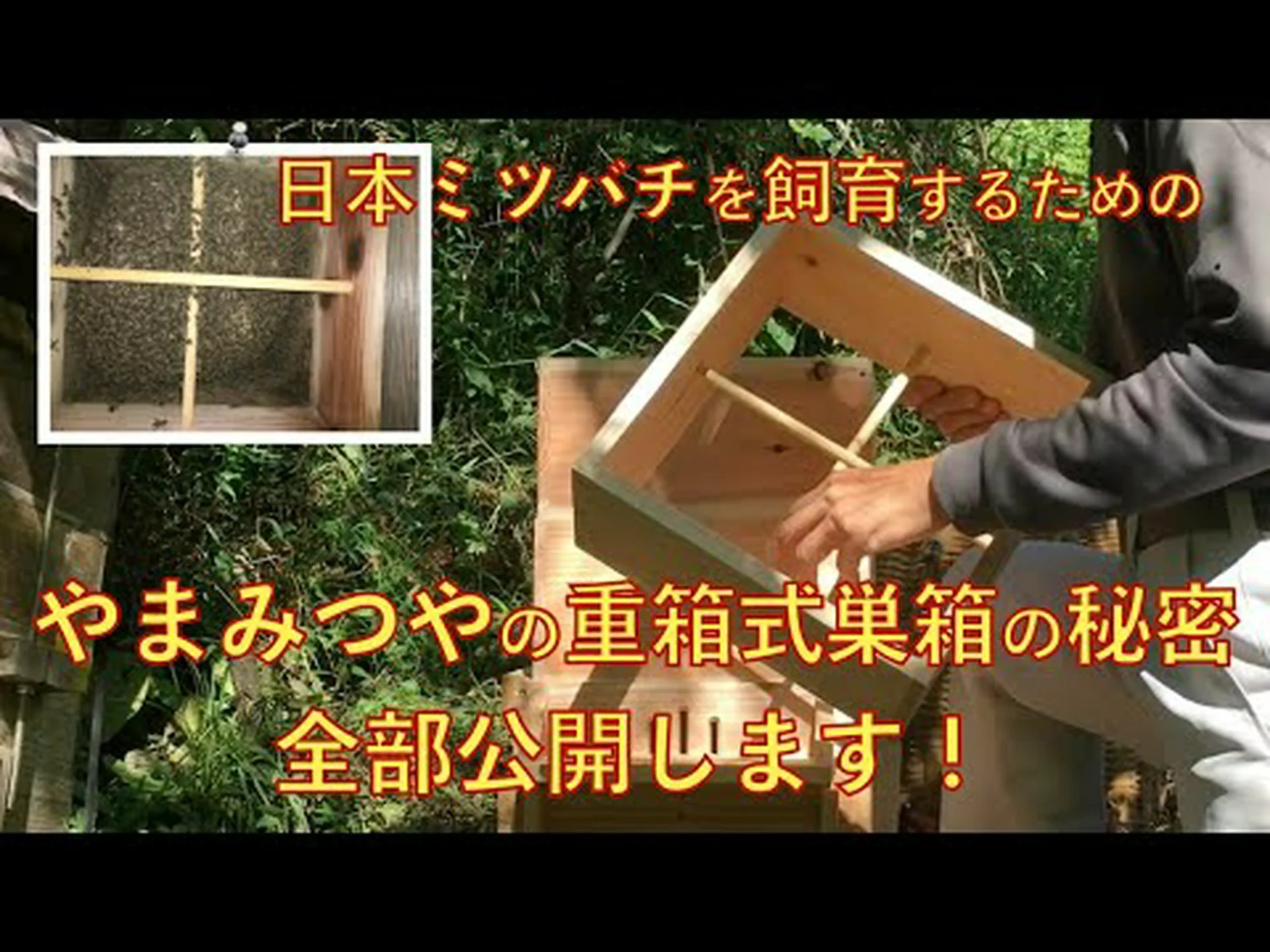 ミツバチは髪の毛で電場を感知します ミツバチは髪の毛で電場を感知します