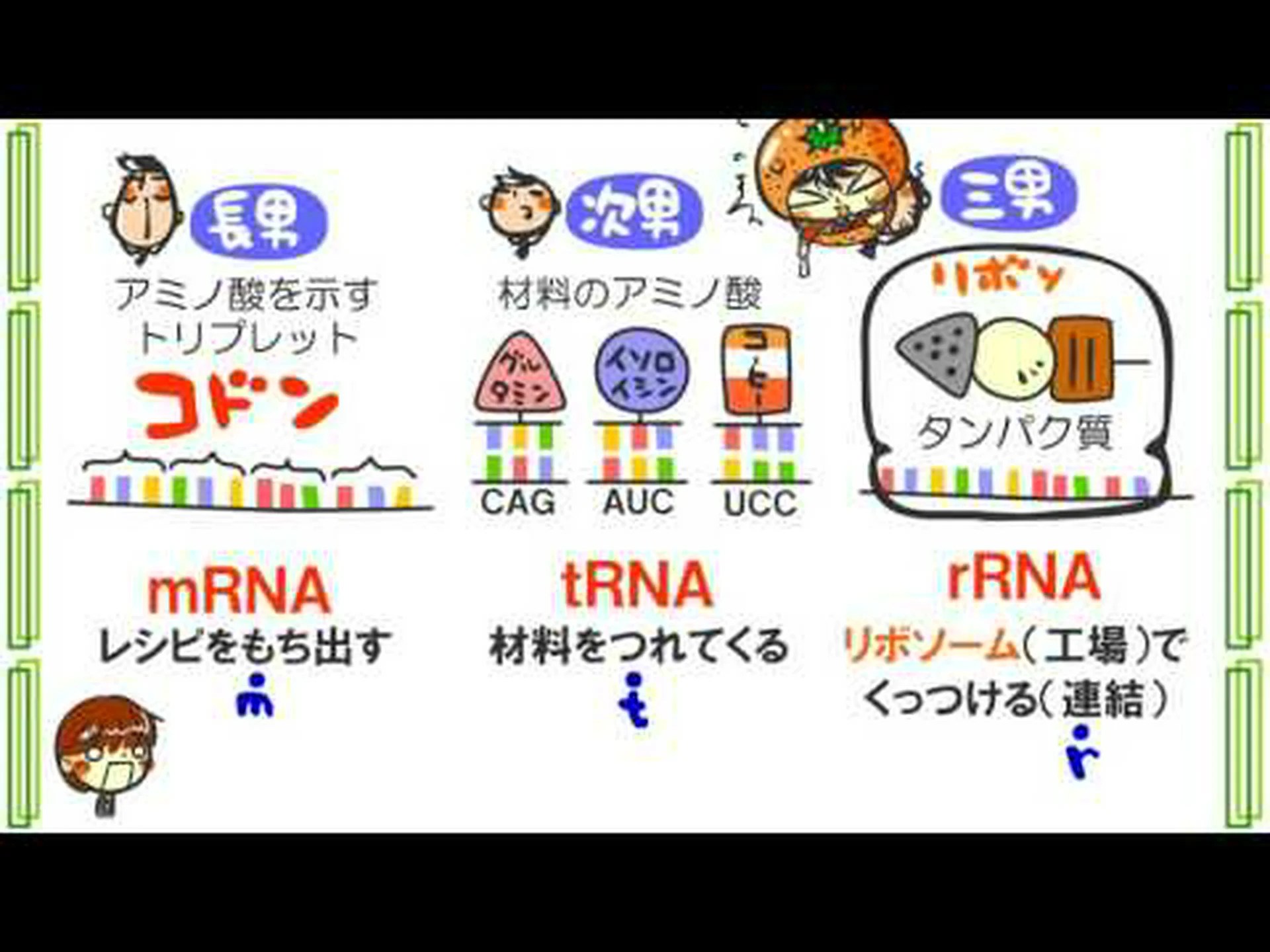 役に立たない DNA は古代の RNA 世界の化石ですか? 役に立たない DNA は古代の RNA 世界の化石ですか?