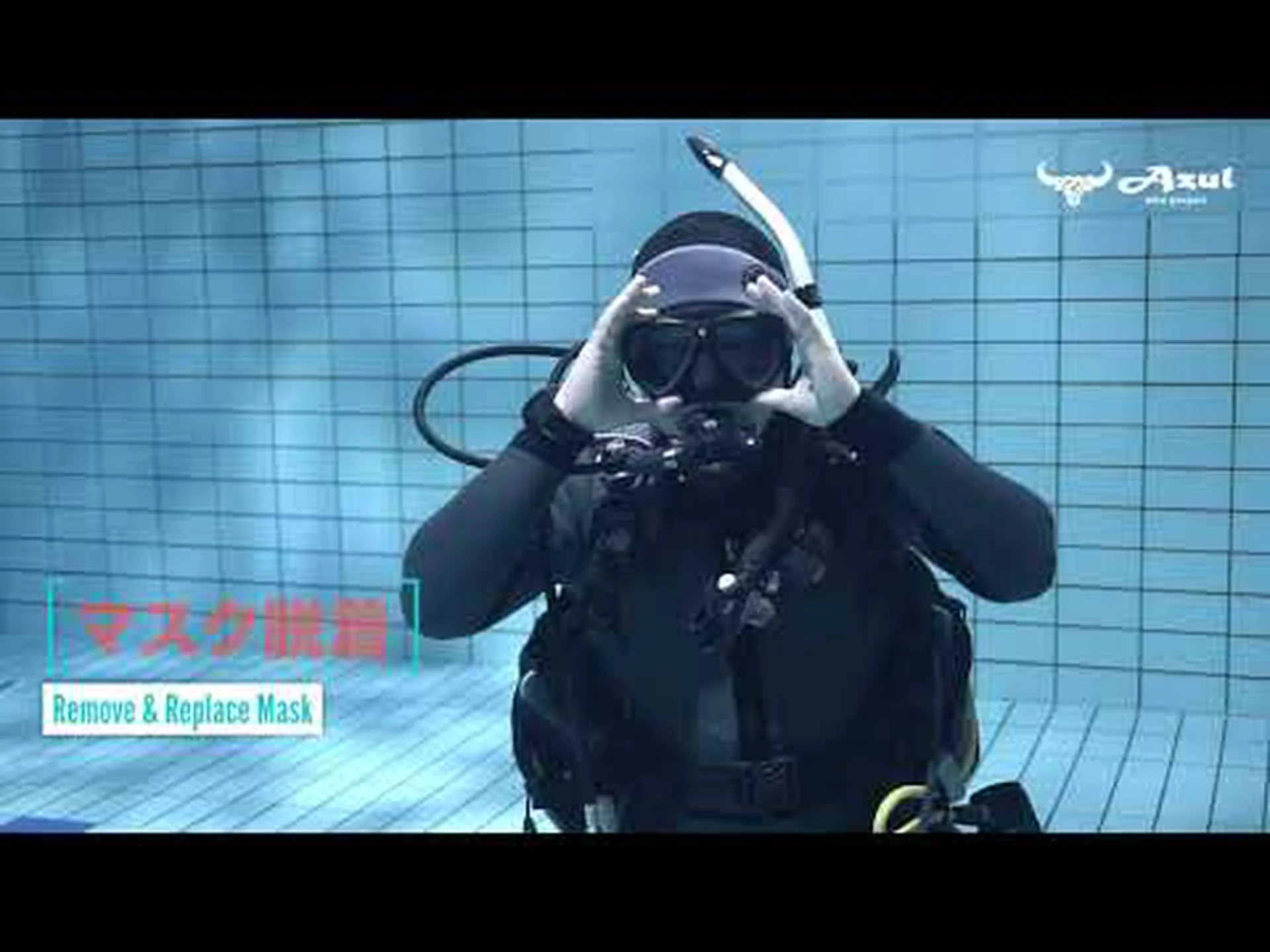 動物のダイビングスキル 動物のダイビングスキル