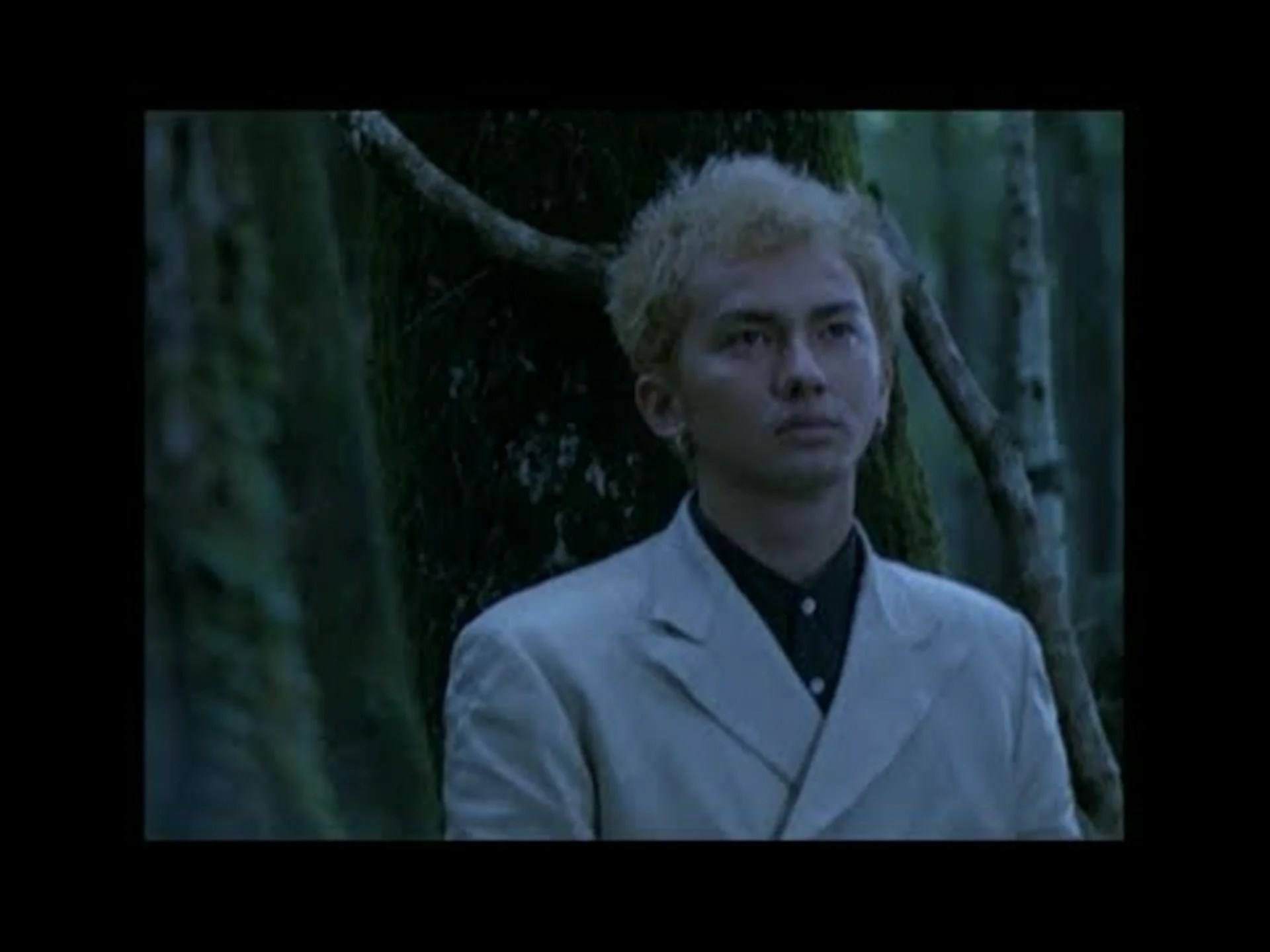 馬は私たちに自分の望むものを見せてくれる 馬は私たちに自分の望むものを見せてくれる