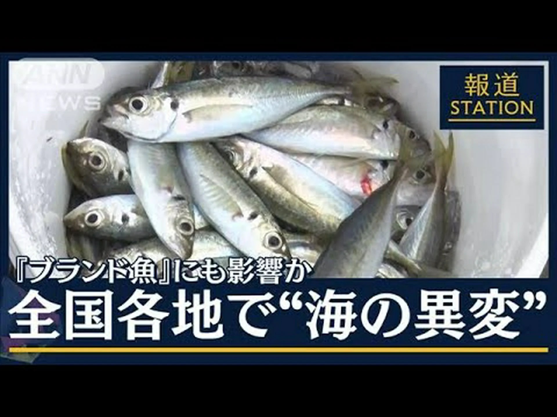 海洋は気候を加熱する 海洋は気候を加熱する