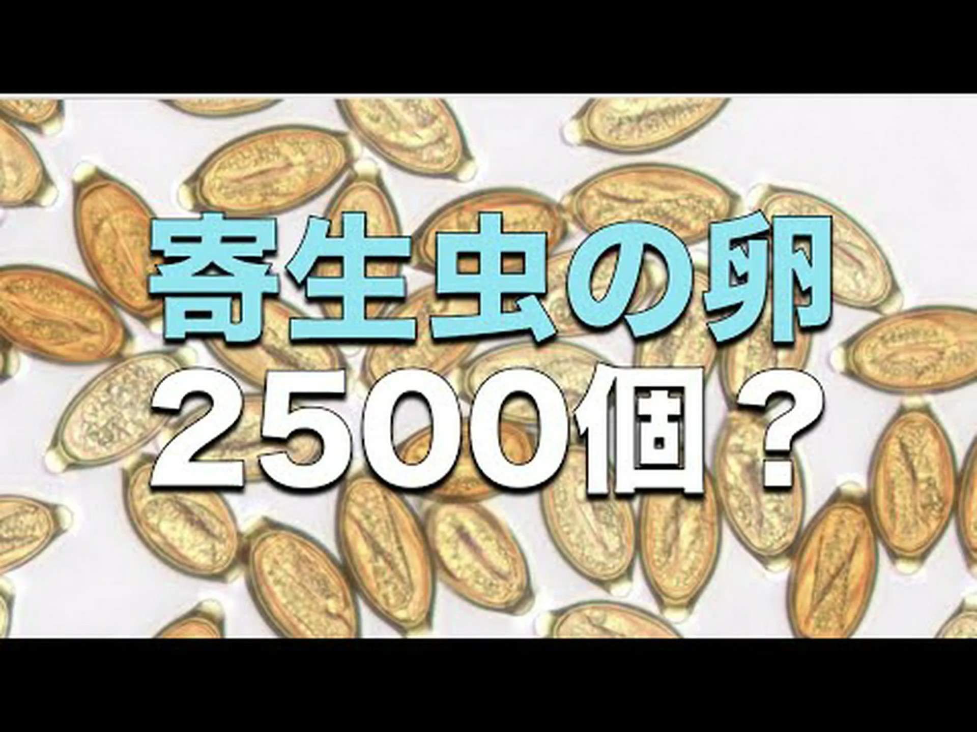 寄生虫、食事、腸炎について 寄生虫、食事、腸炎について