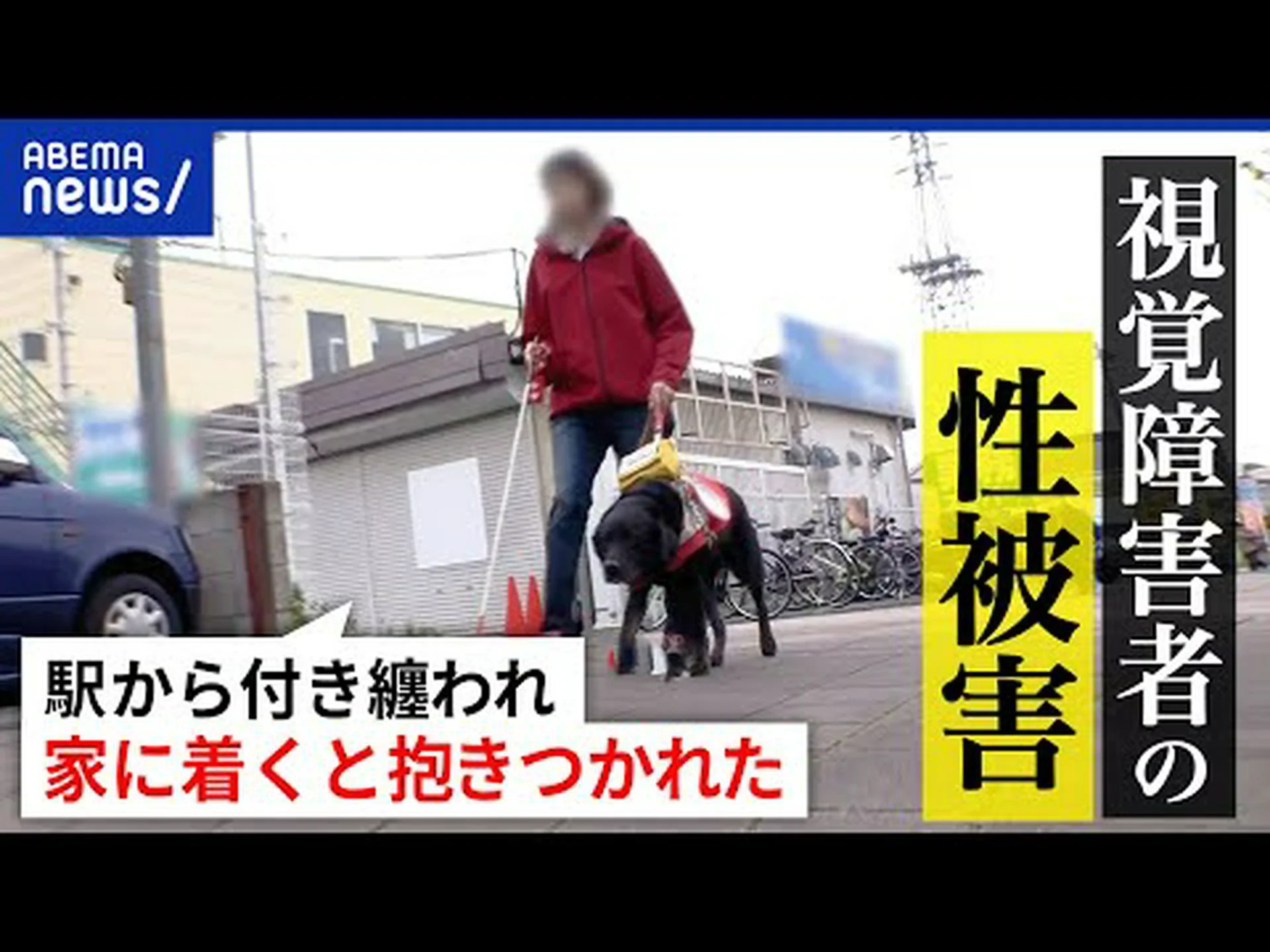 権力の下にある視覚障害者 権力の下にある視覚障害者