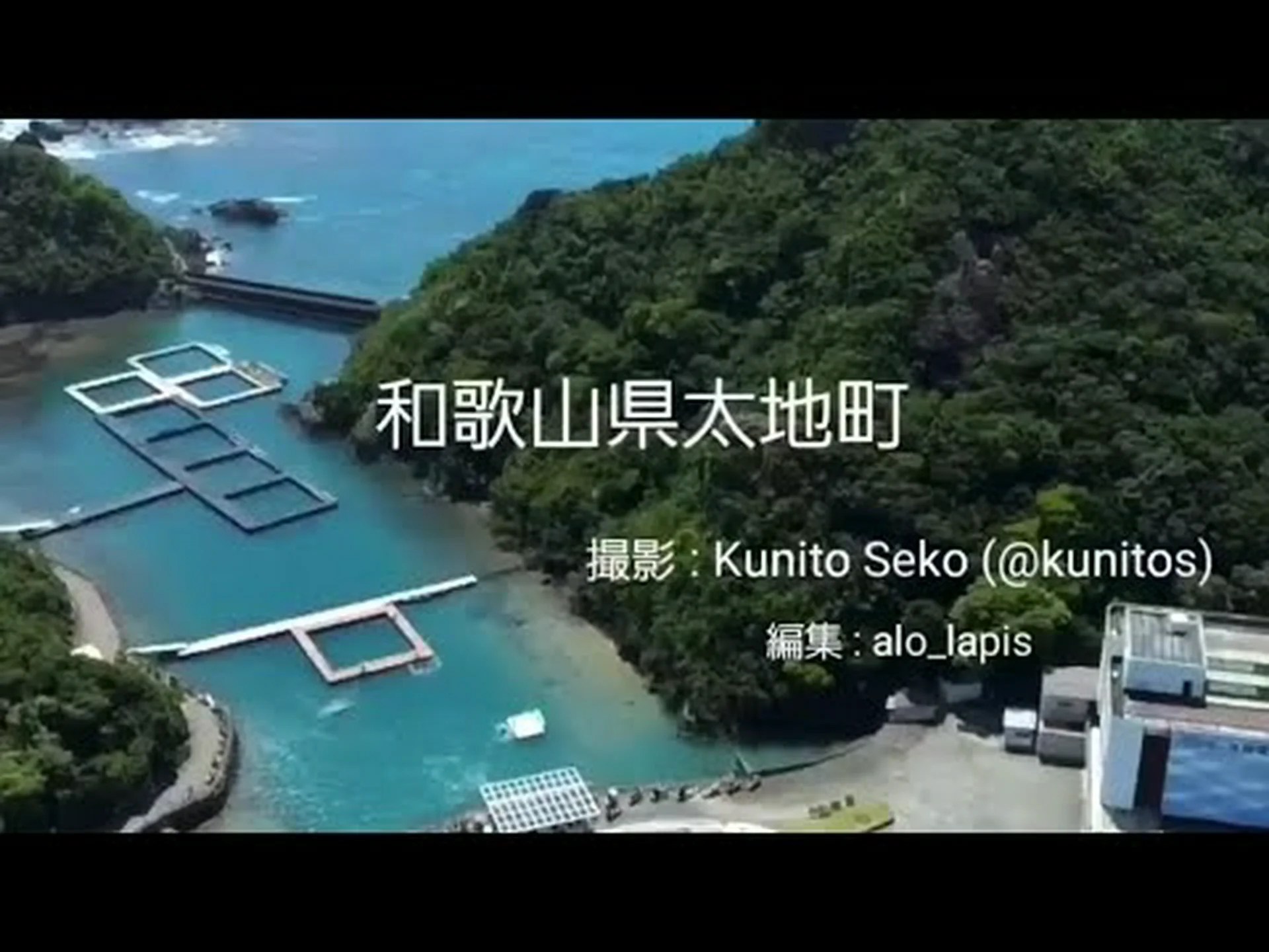 今日から日本でイルカ漁が始まります 今日から日本でイルカ漁が始まります