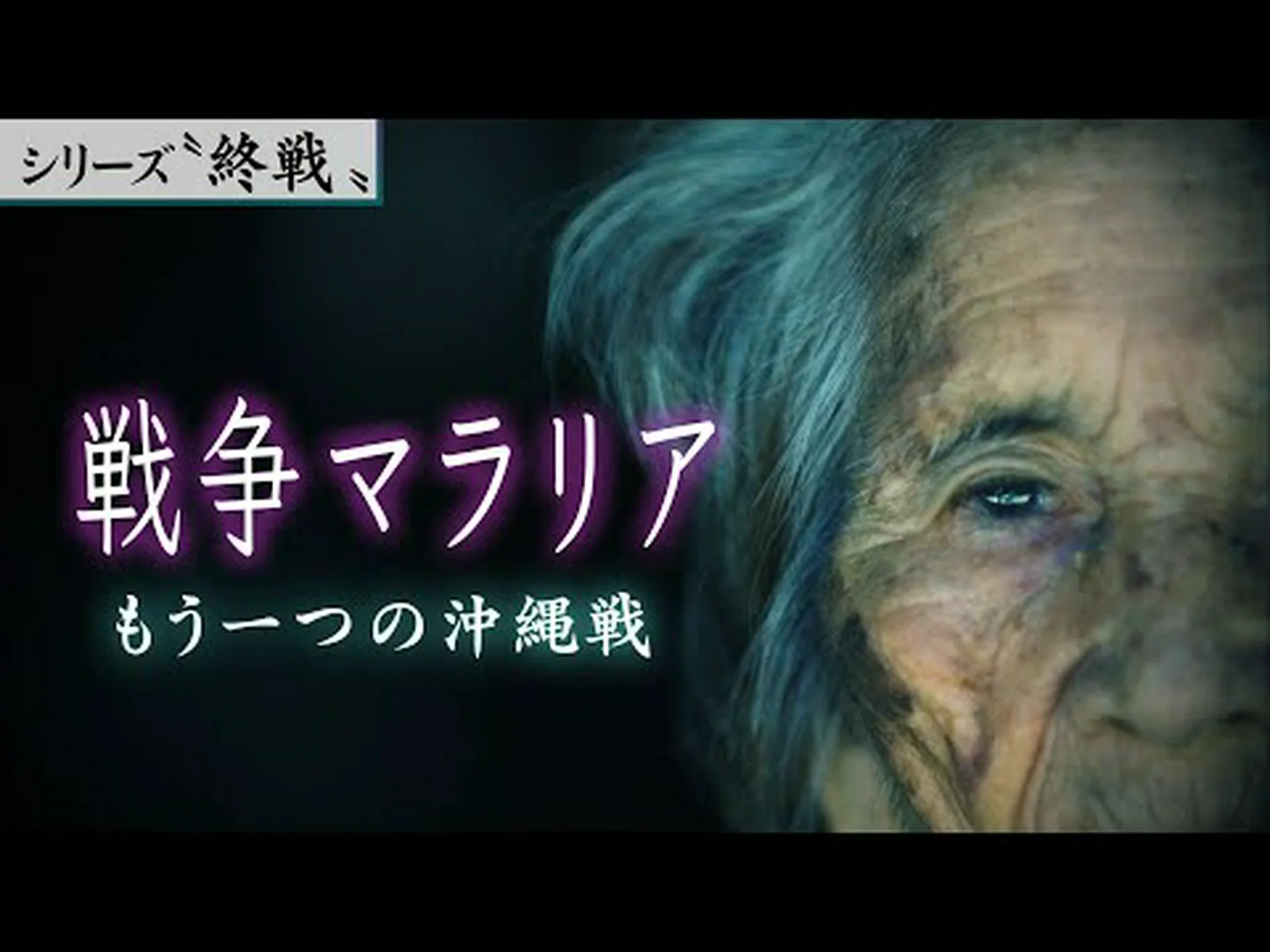 マラリアとの戦い マラリアとの戦い