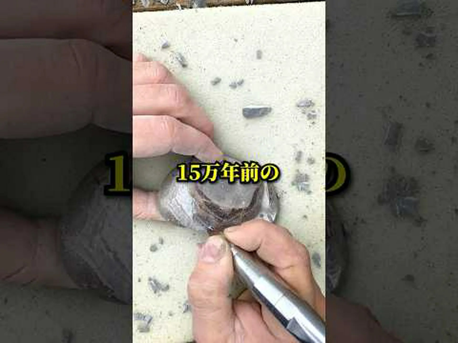34億2千万年前の微生物の化石を発見 34億2千万年前の微生物の化石を発見