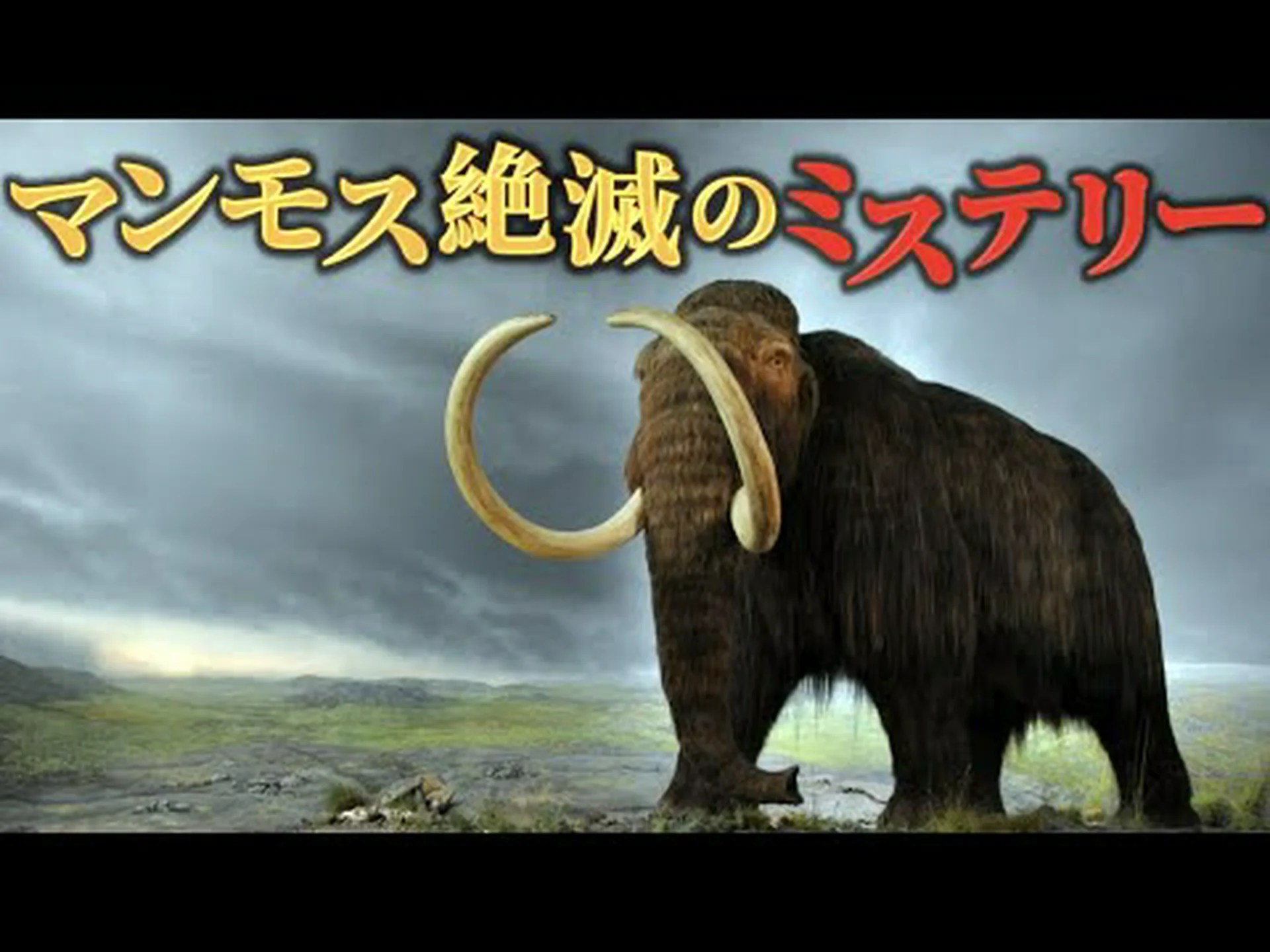 ケナガサイはなぜ消えたのか ケナガサイはなぜ消えたのか