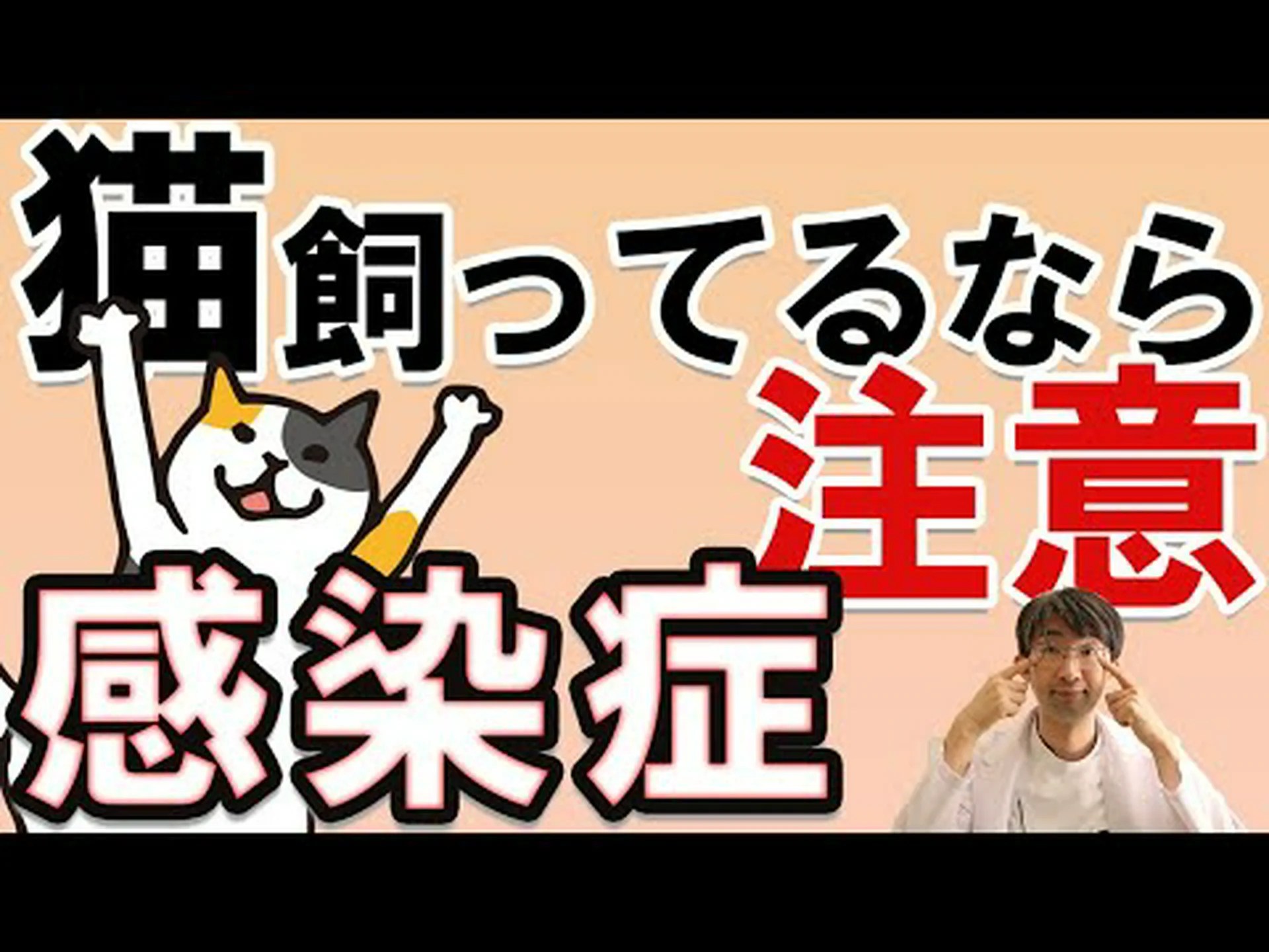 トキソプラズマ症になると短気になりますか? トキソプラズマ症になると短気になりますか?