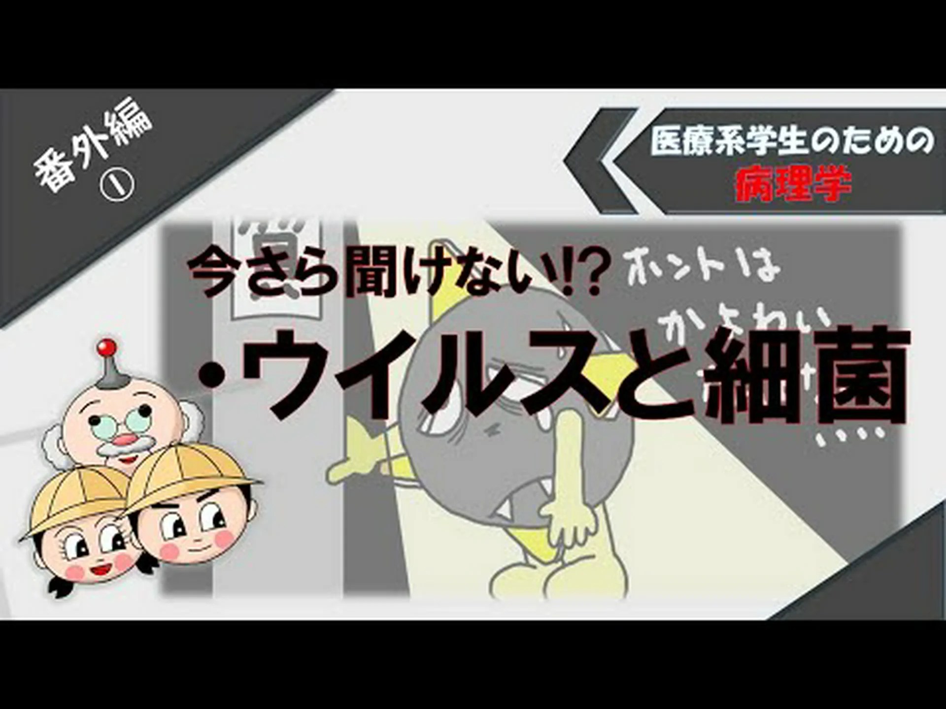 なぜインフルエンザが細菌の侵入を促すのか なぜインフルエンザが細菌の侵入を促すのか