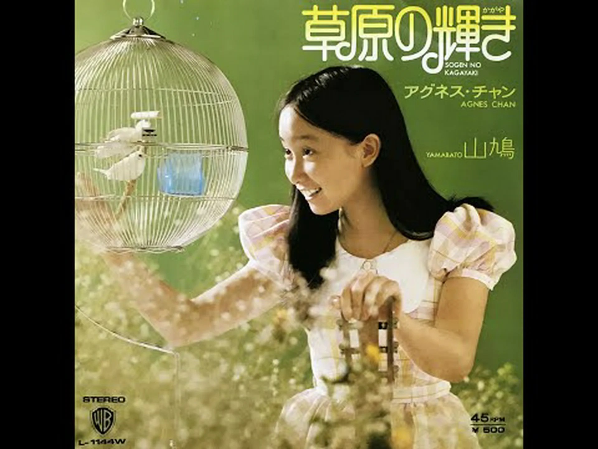 花の咲く草原が私たちに恩恵をもたらす理由 花の咲く草原が私たちに恩恵をもたらす理由