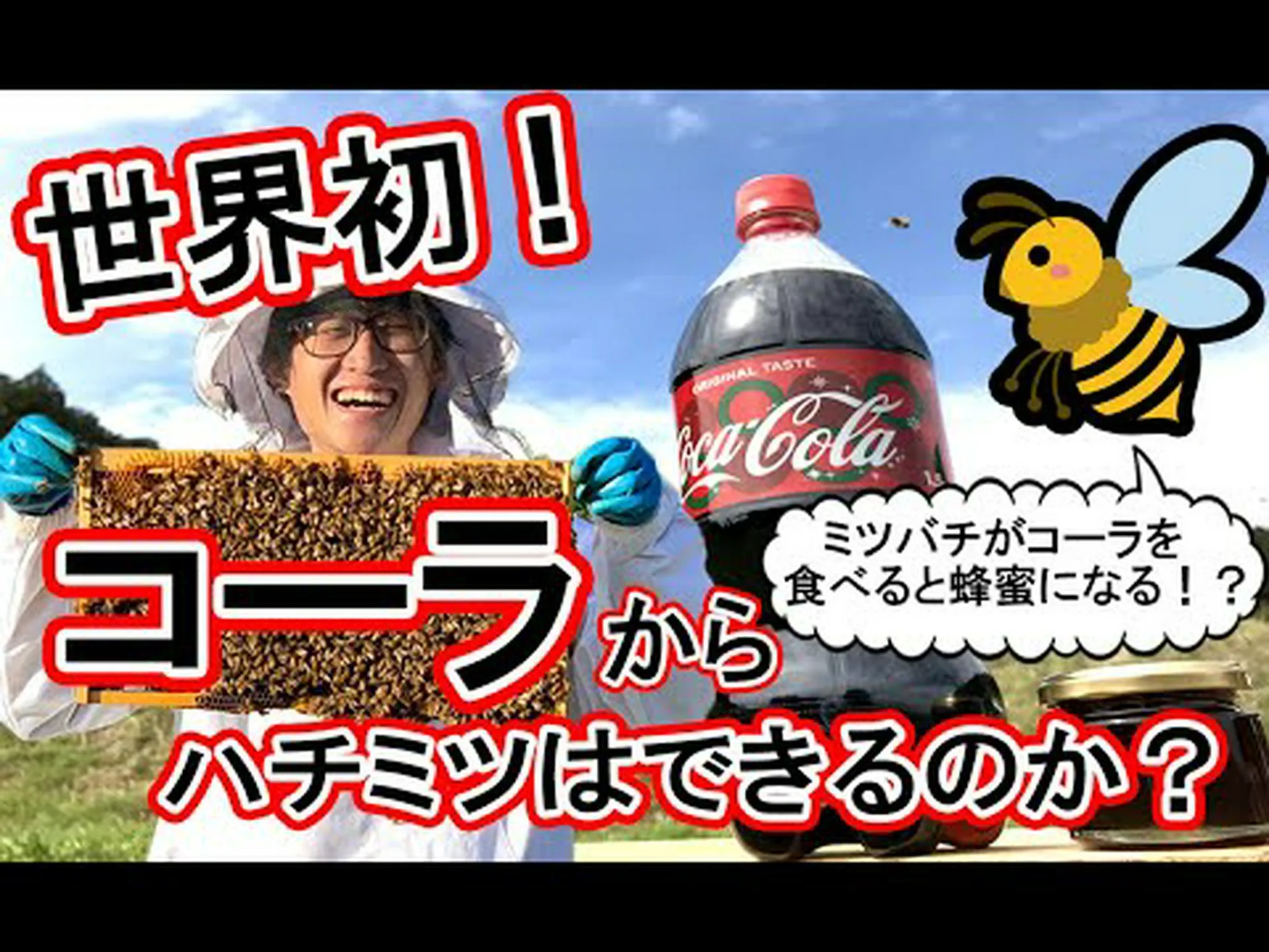 コーラを飲むミツバチ コーラを飲むミツバチ