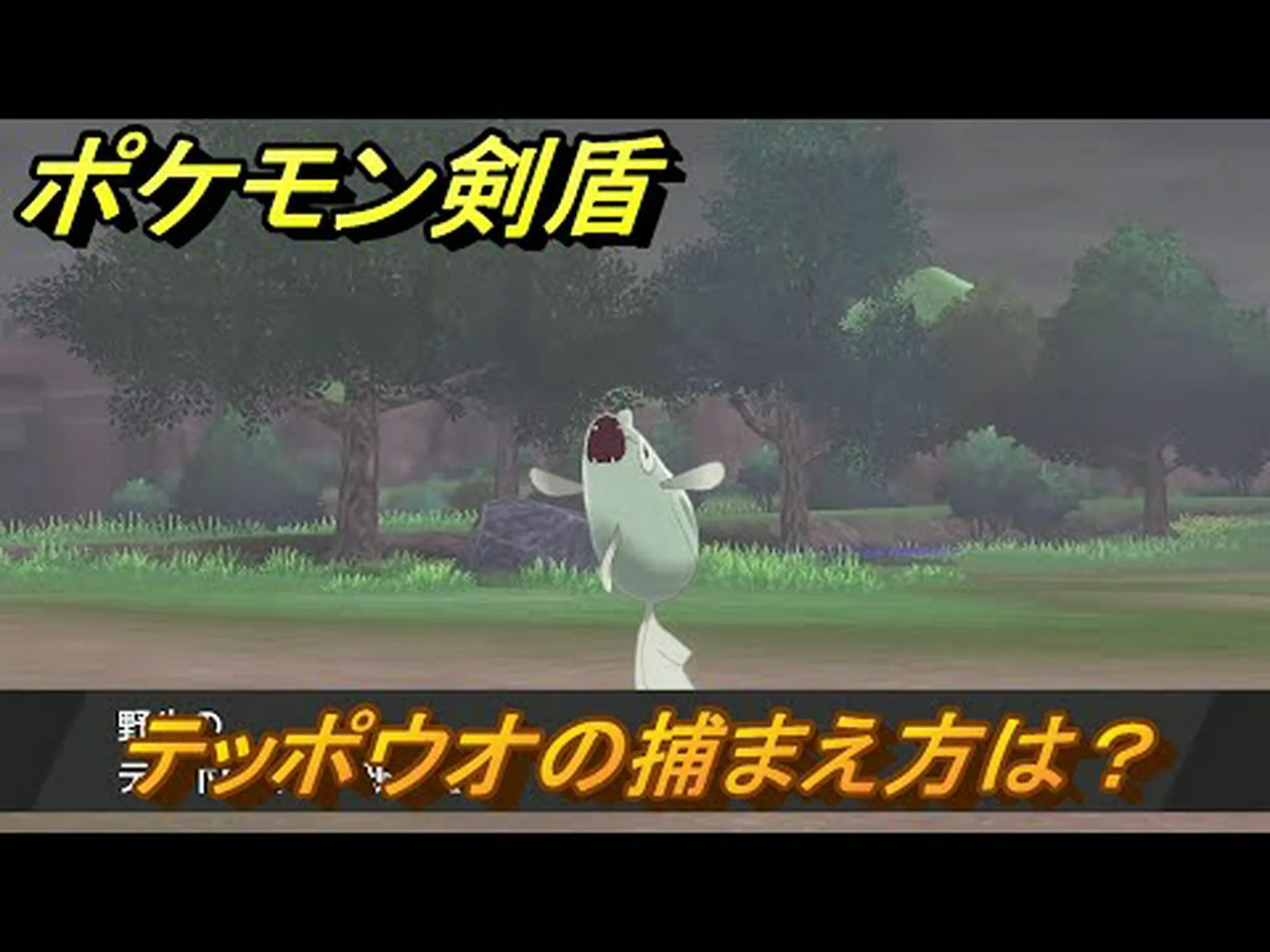 テッポウウオの標的獲得 テッポウウオの標的獲得