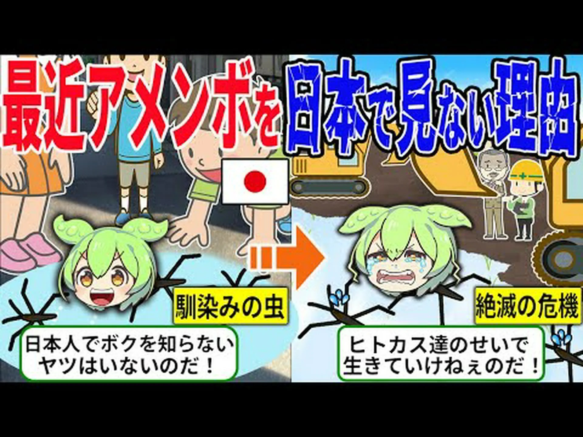 アメンボはどのようにして溺死から身を守るのか アメンボはどのようにして溺死から身を守るのか