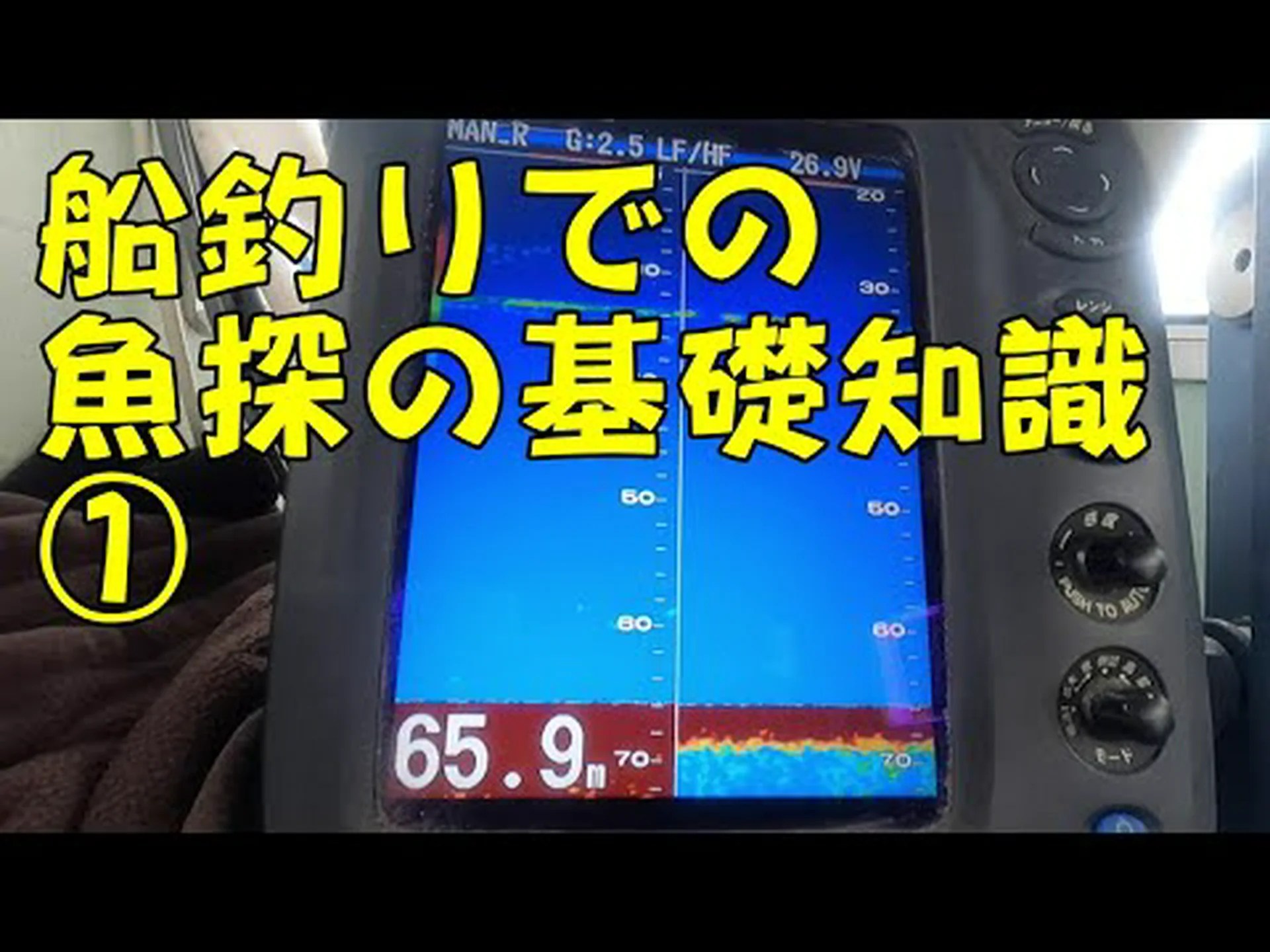 魚はどのようにして遠隔海域に定着するのか 魚はどのようにして遠隔海域に定着するのか