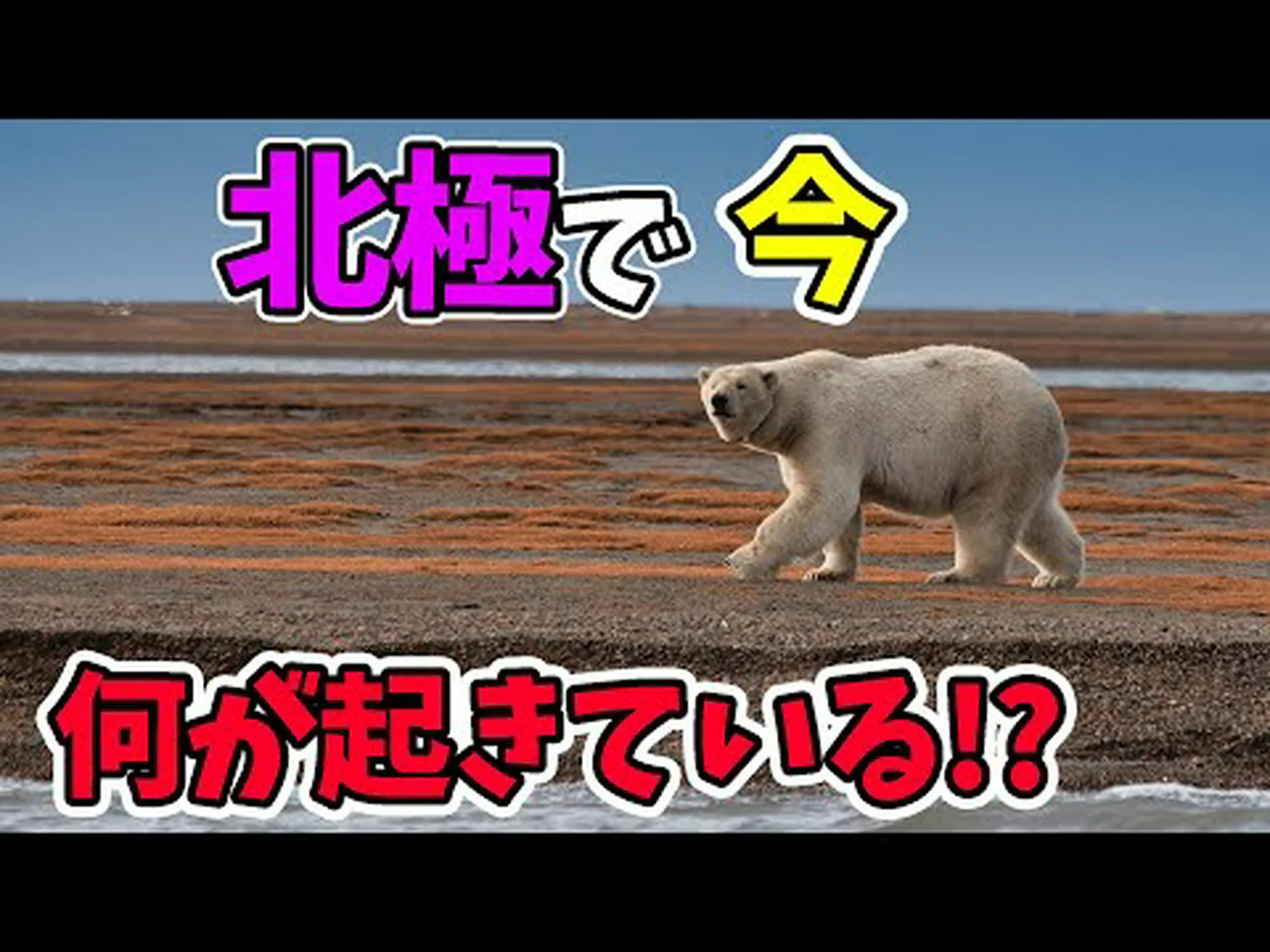 北極: 気候変動により節足動物群集が変化している 北極: 気候変動により節足動物群集が変化している