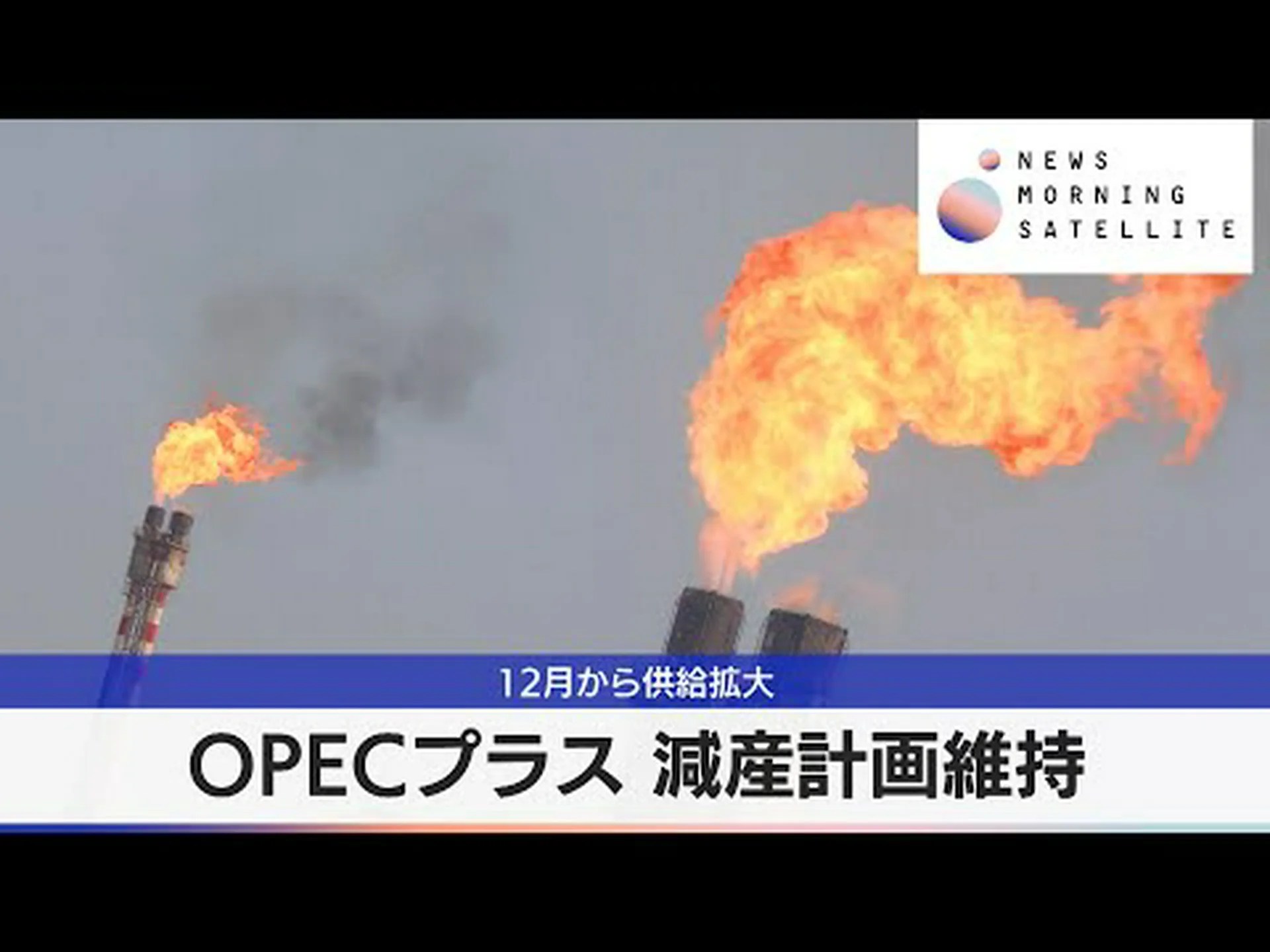 ロールモデルとしての連邦環境庁 ロールモデルとしての連邦環境庁