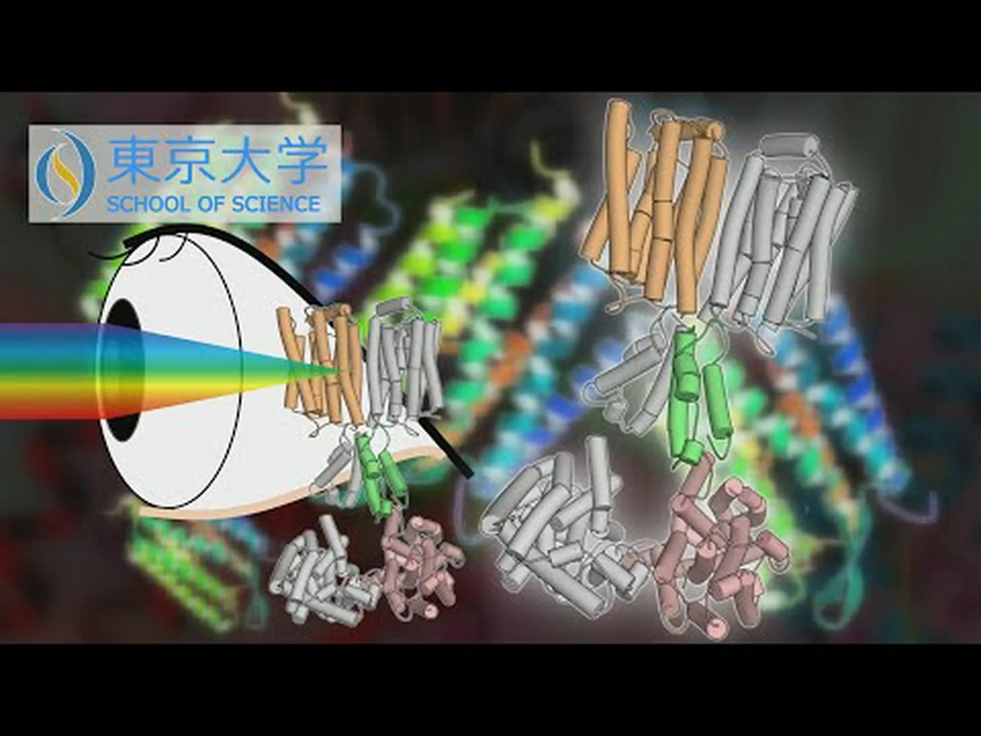 光るラテックスビーズがタンパク質を明らかにする 光るラテックスビーズがタンパク質を明らかにする