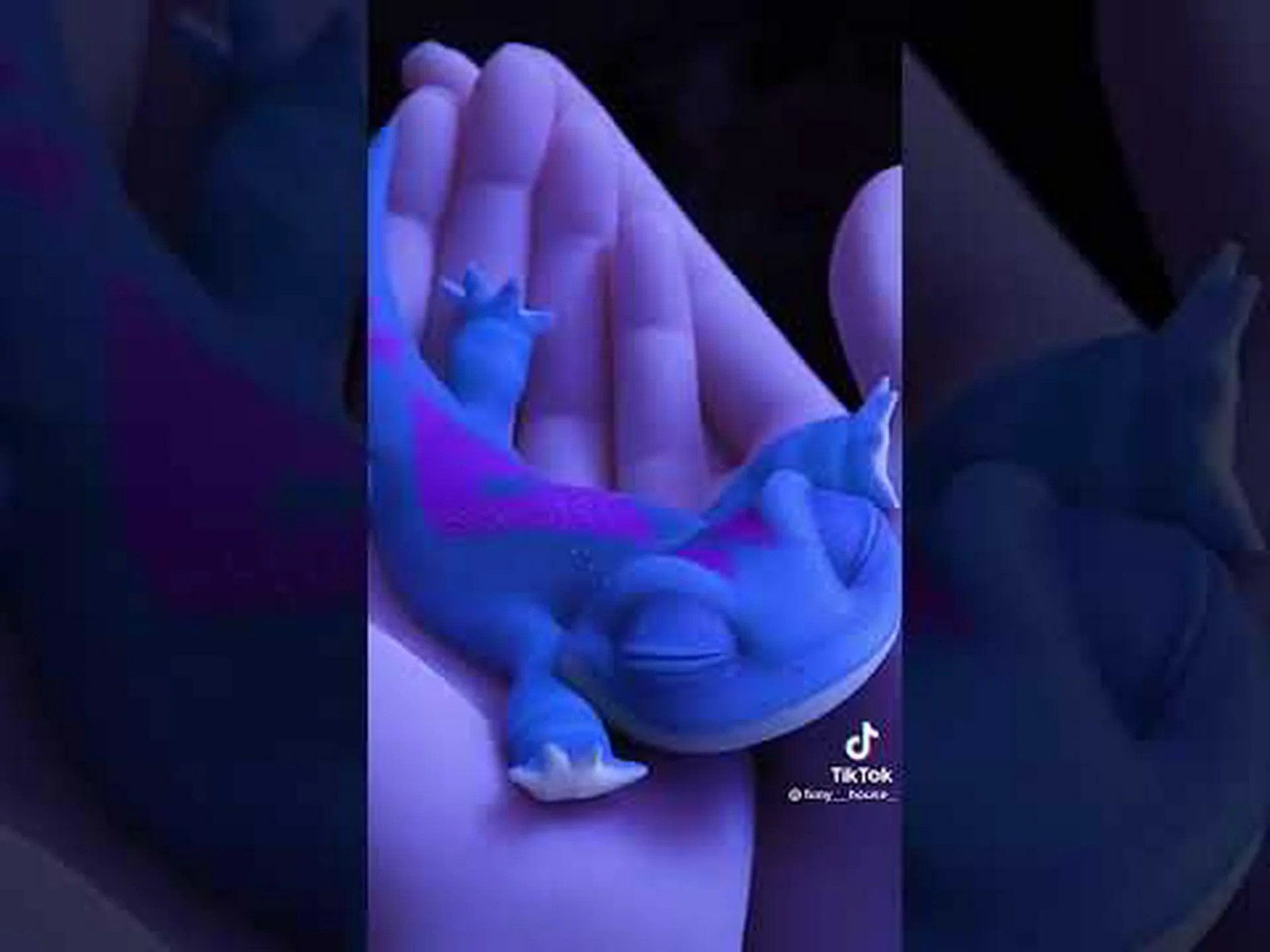 サラマンダー接着剤 サラマンダー接着剤