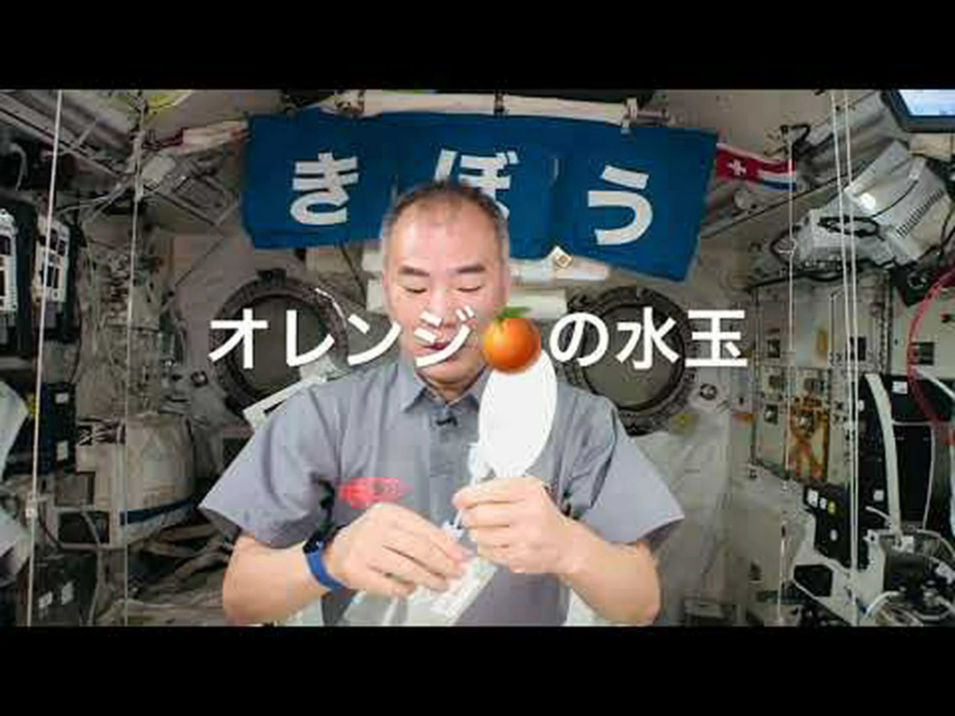 牛のための宇宙飛行士の食事 牛のための宇宙飛行士の食事