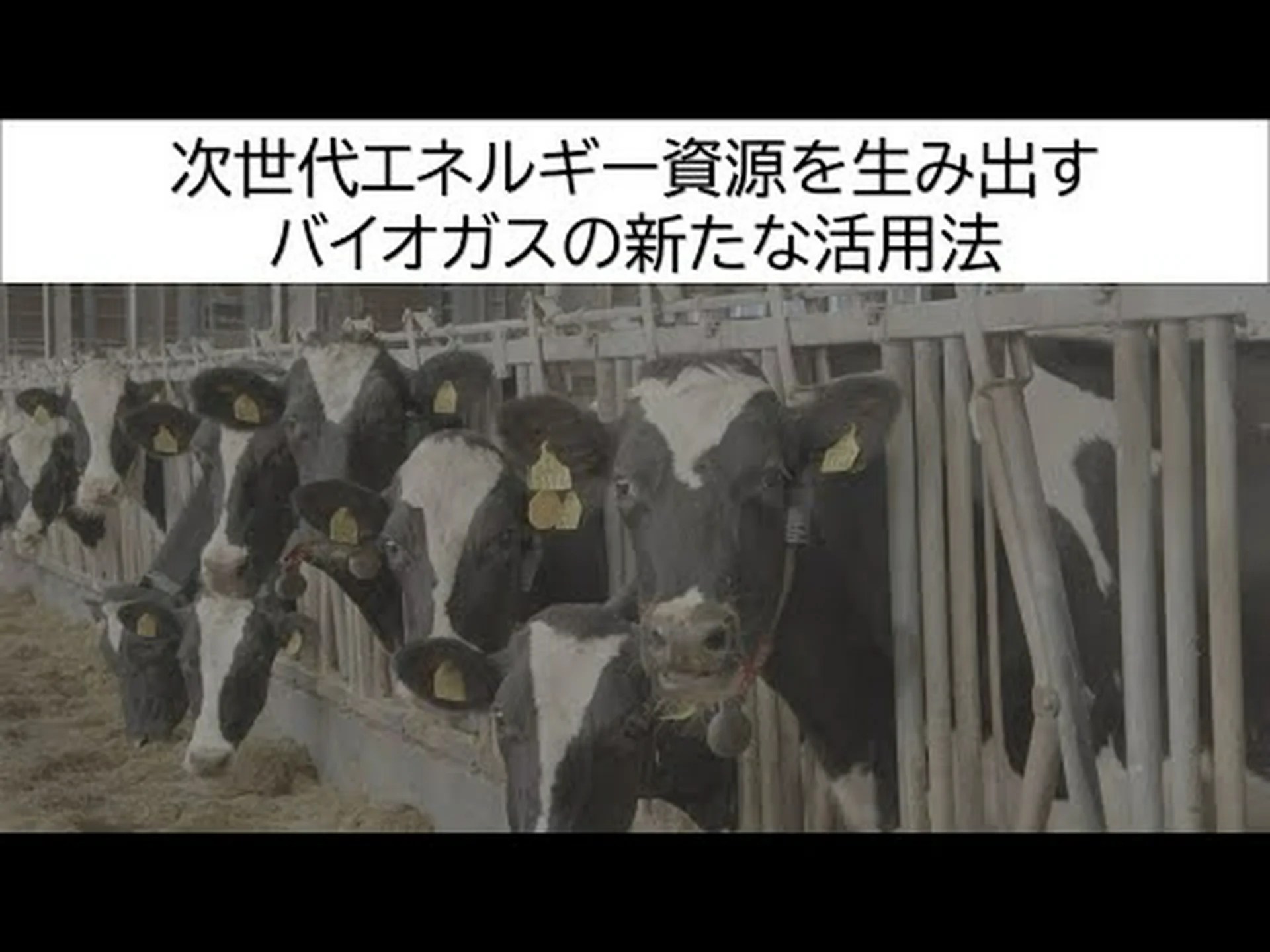 始生代のバイオガス工場 始生代のバイオガス工場