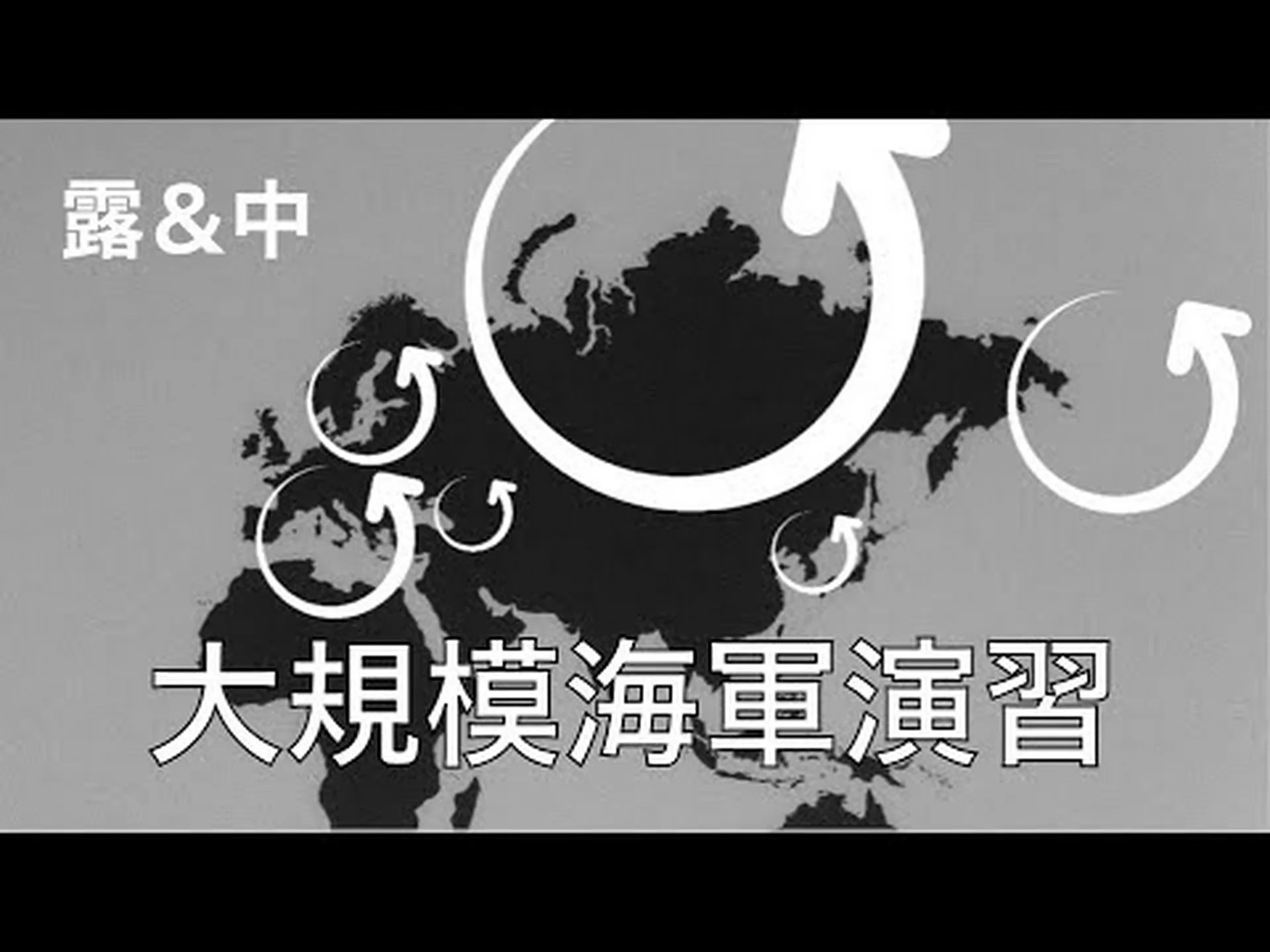 軍事演習でアカボウクジラが座礁 軍事演習でアカボウクジラが座礁