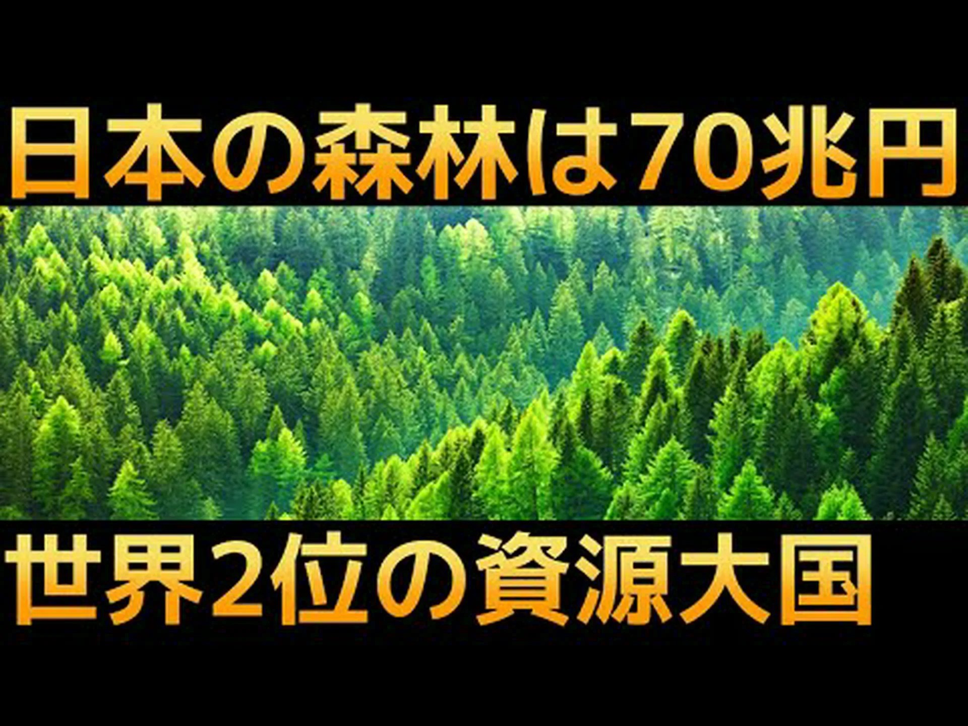 世界中で森林面積が年間900万ヘクタール減少している 世界中で森林面積が年間900万ヘクタール減少している
