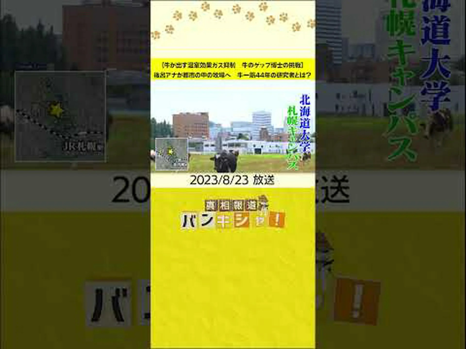 研究者らは羊のげっぷや鼓腸を解消する 研究者らは羊のげっぷや鼓腸を解消する