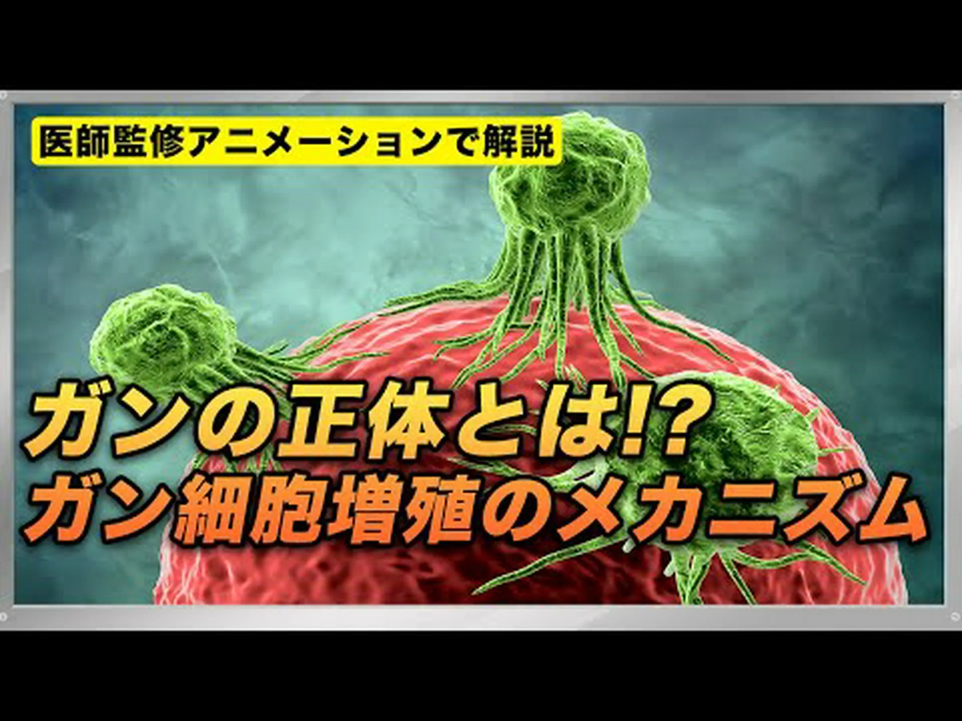 サメ軟骨抽出物は腫瘍の増殖を抑制します サメ軟骨抽出物は腫瘍の増殖を抑制します