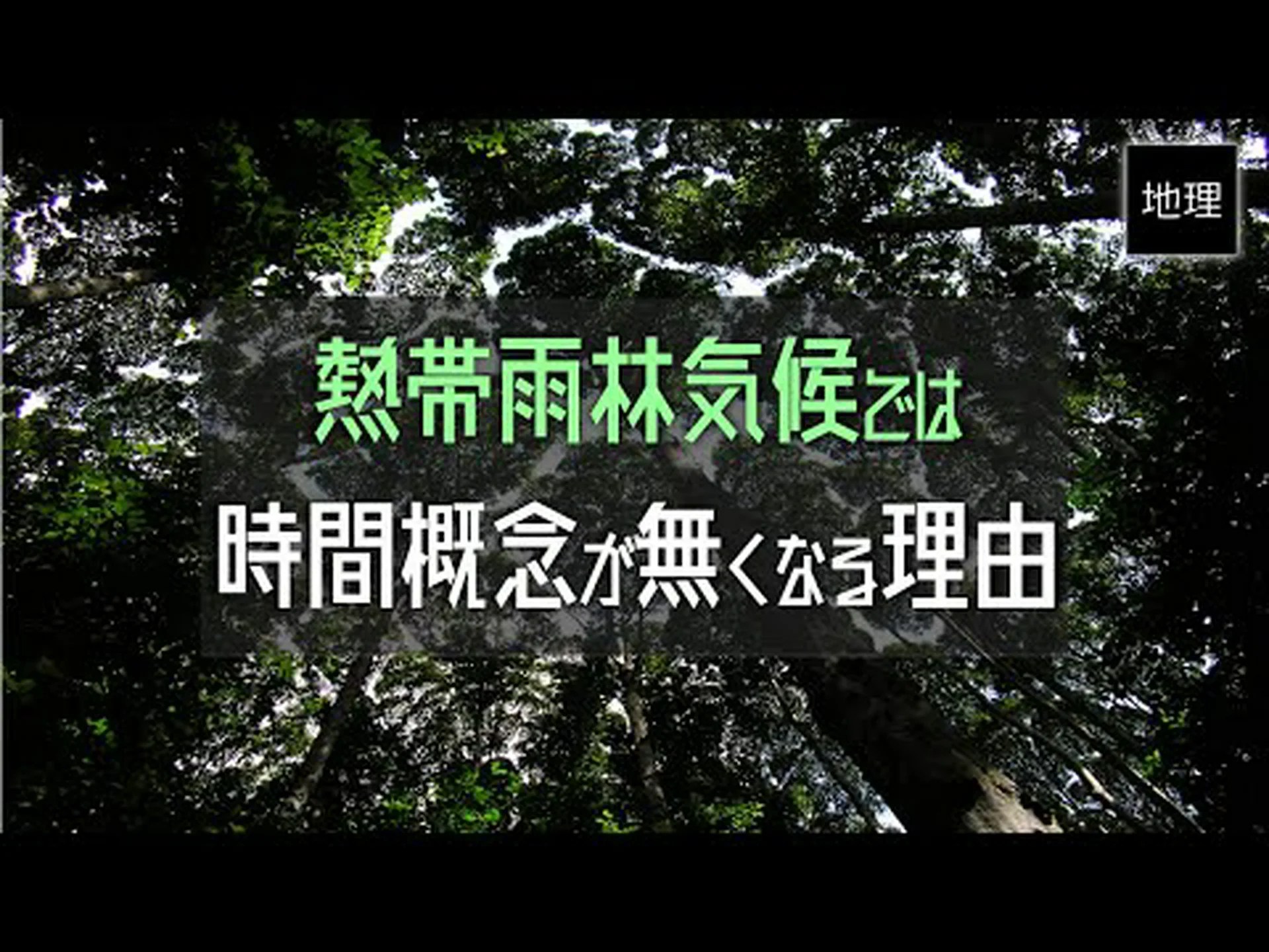 熱帯雨林: 種の保存のための道? 熱帯雨林: 種の保存のための道?