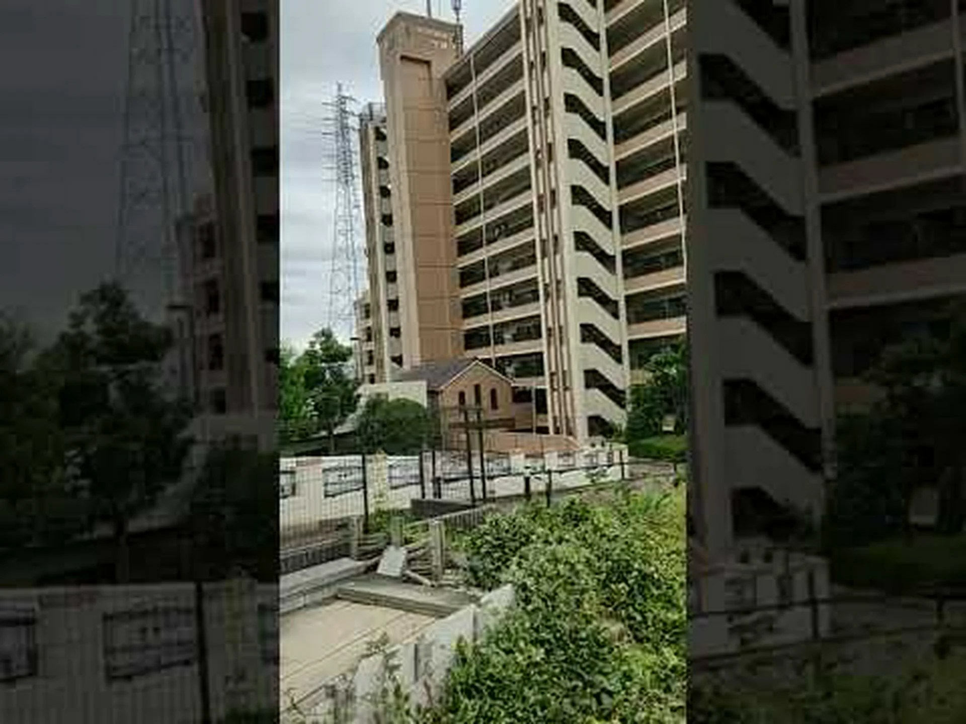 多くの自殺や暴力犯罪は防げる可能性がある 多くの自殺や暴力犯罪は防げる可能性がある