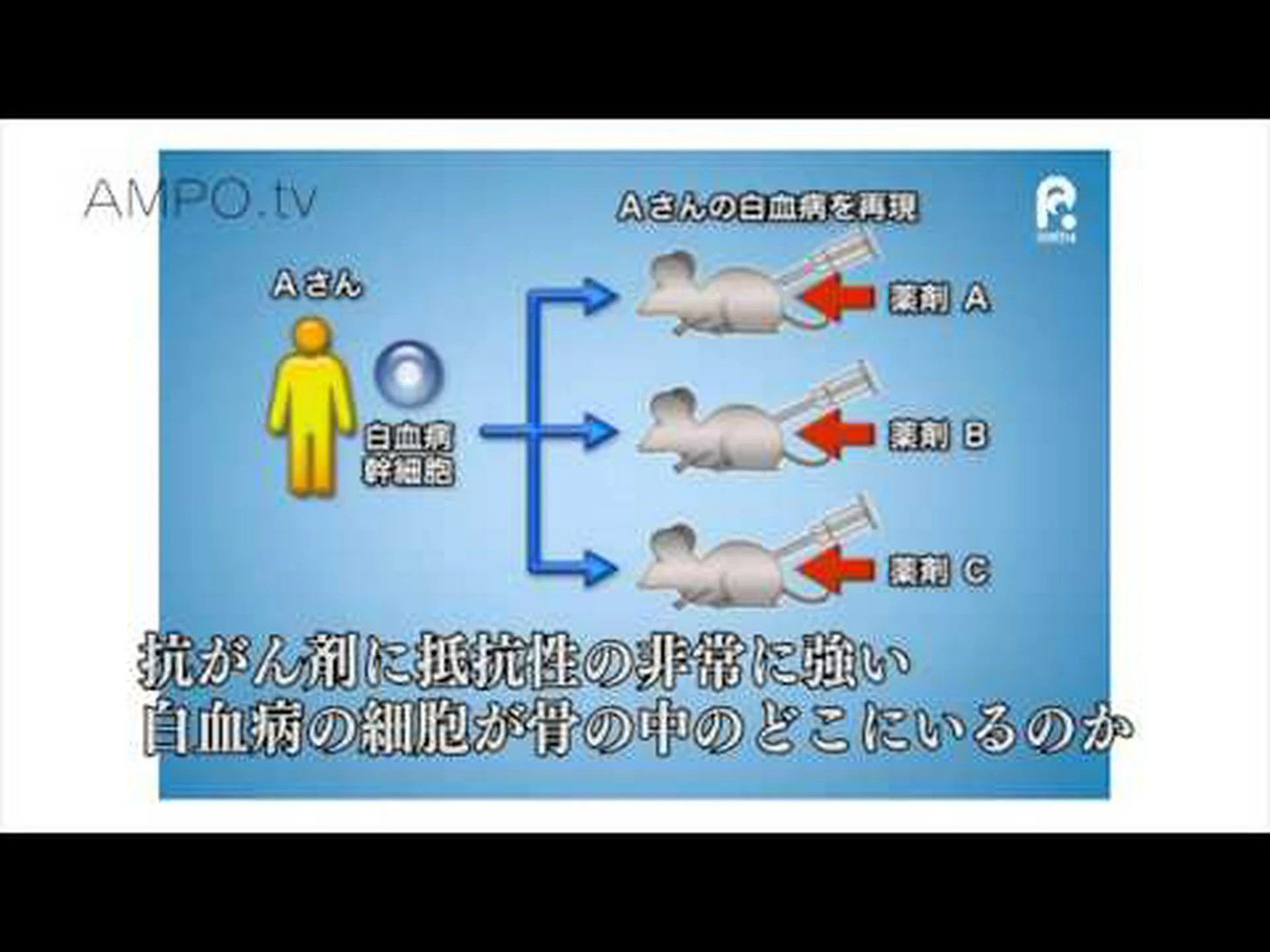 細胞培養で白血病を克服 細胞培養で白血病を克服