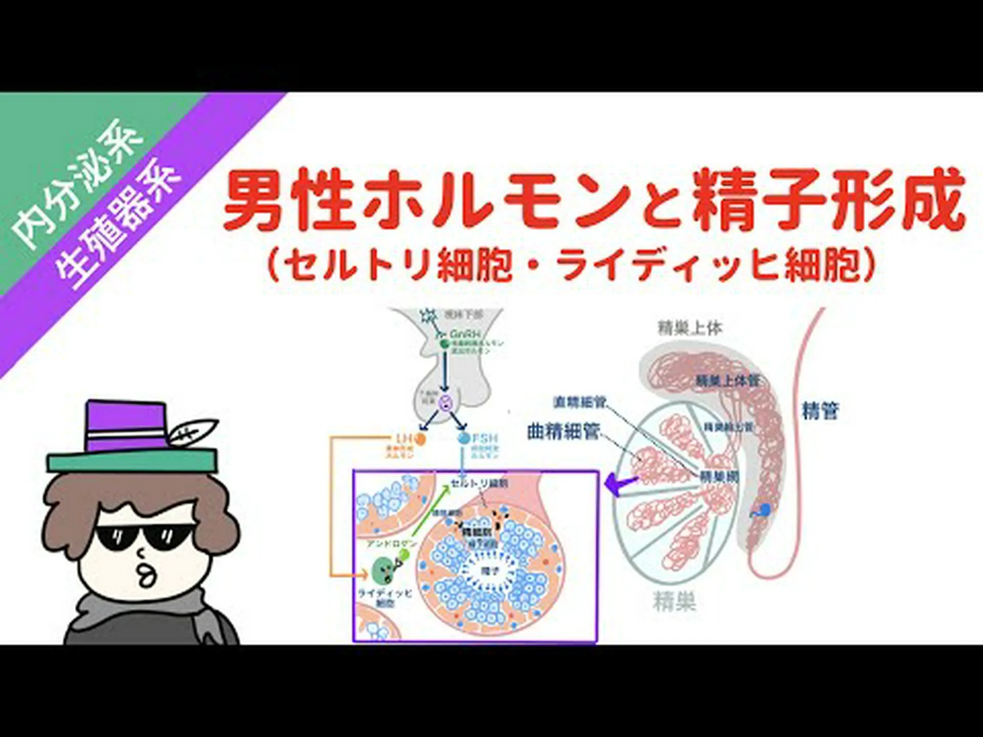 遠隔制御される精子細胞 遠隔制御される精子細胞